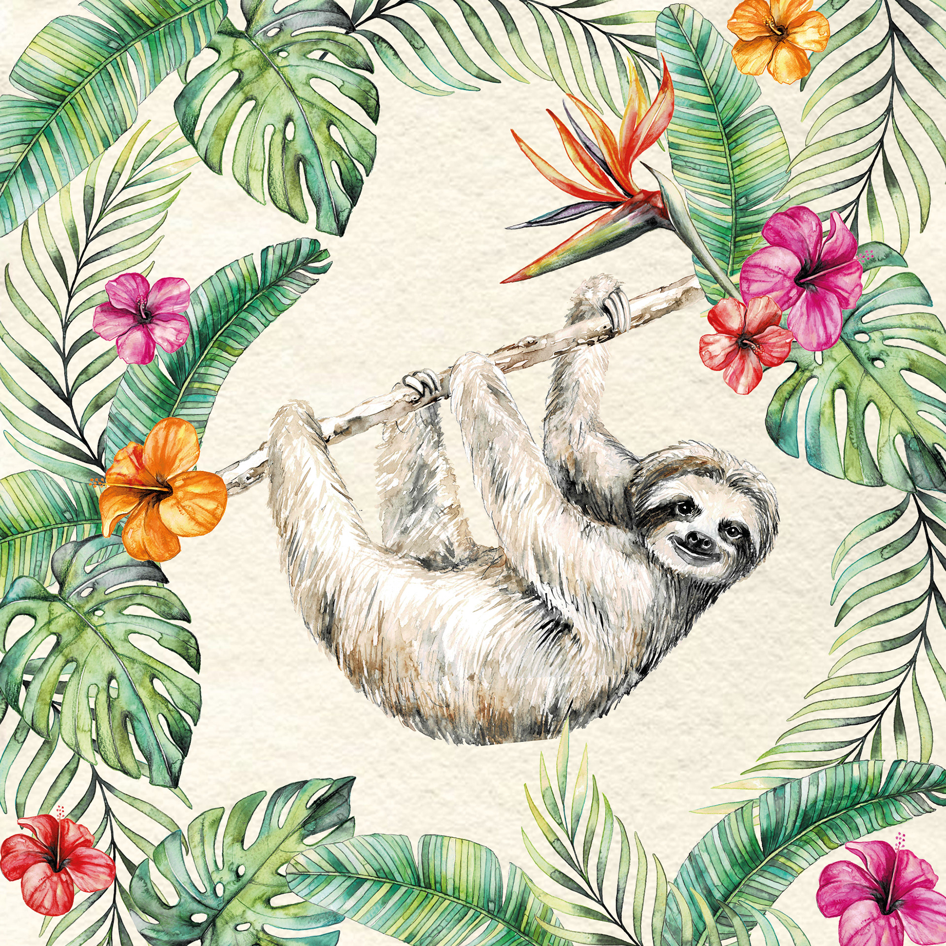 hanging Sloth