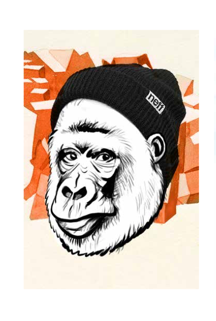 Ape