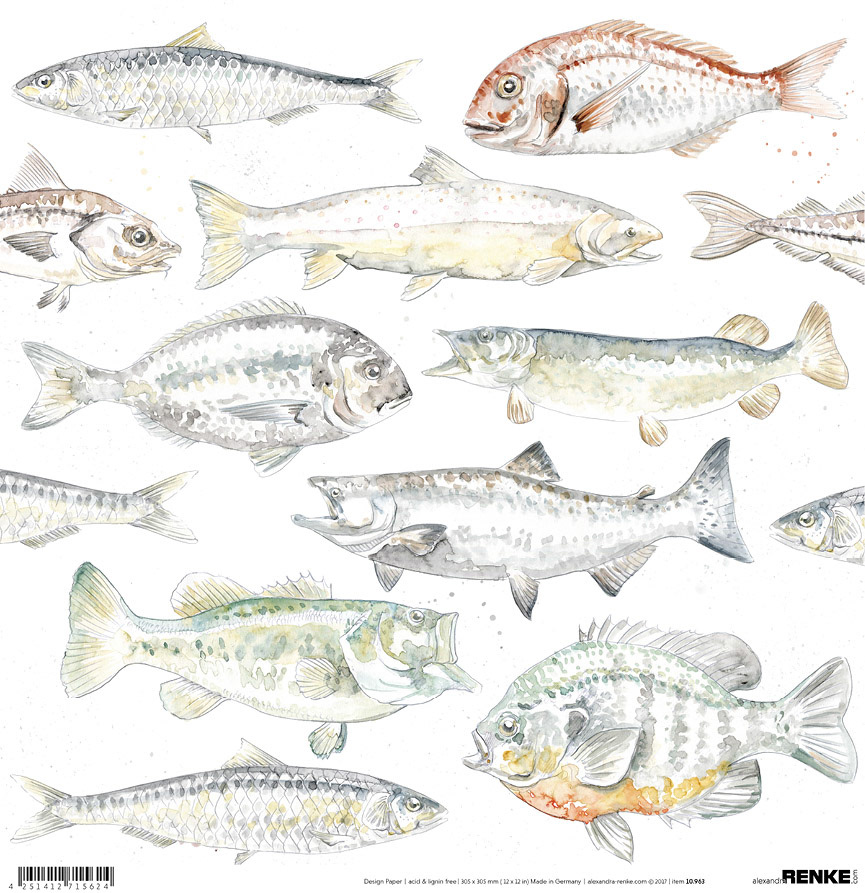 Fish