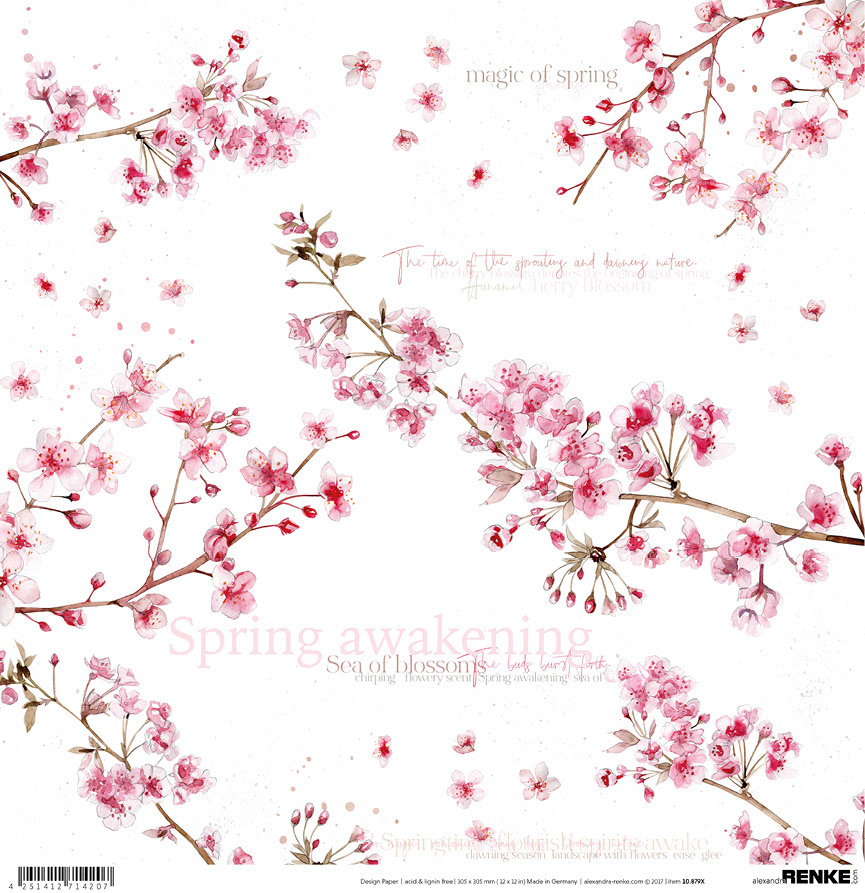 cherryblossom