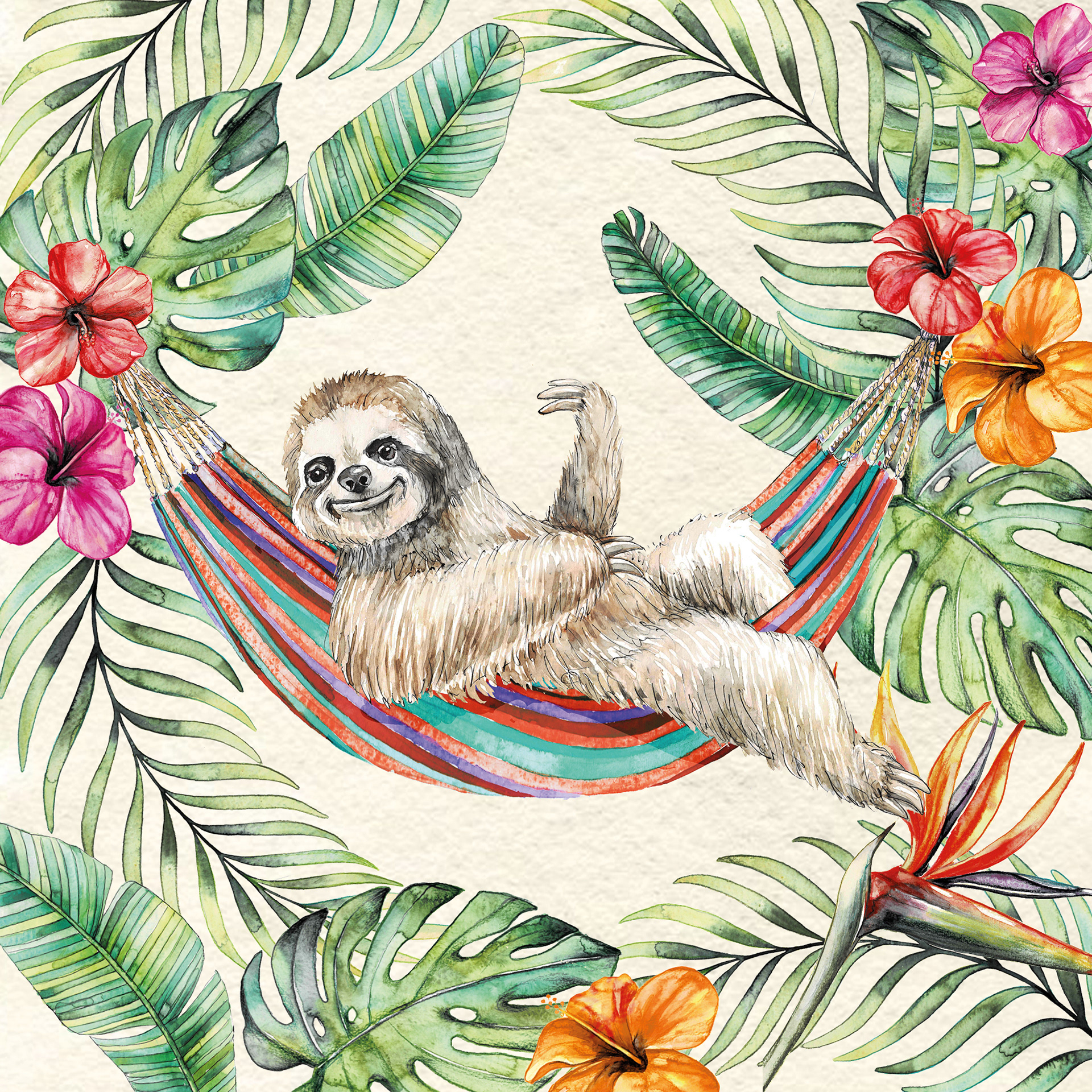 Sloth & Hangmatt