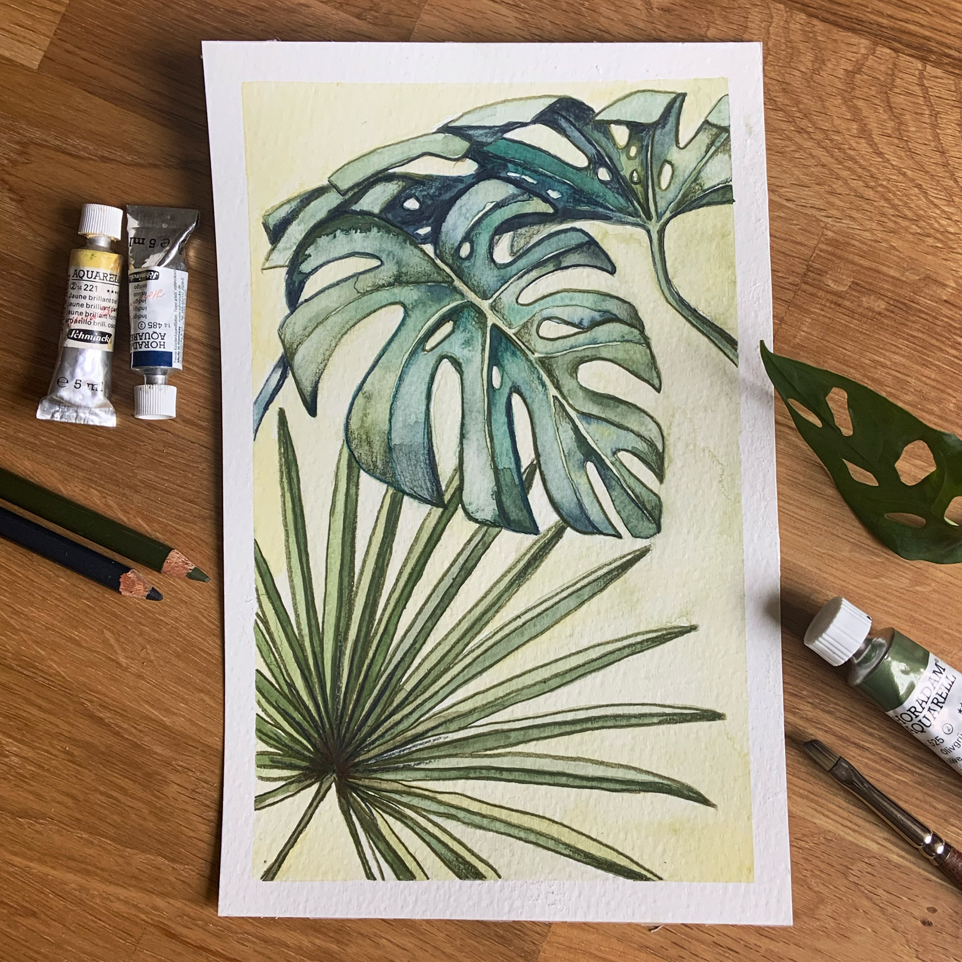 Monstera