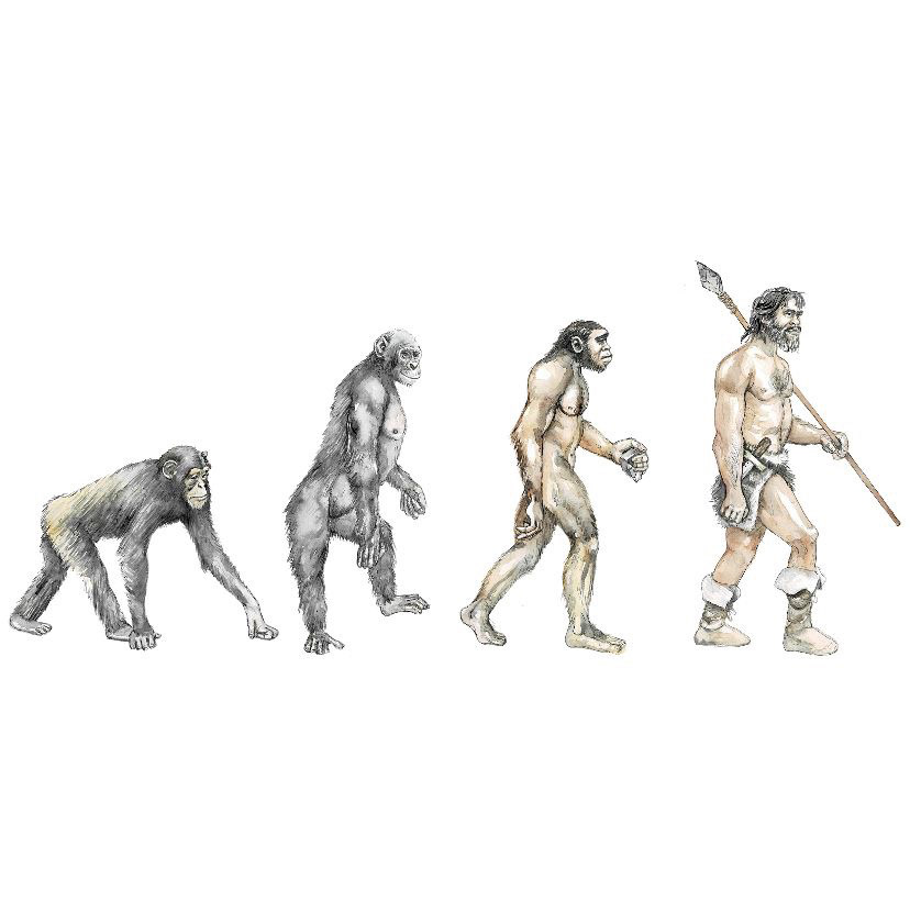 Evolution