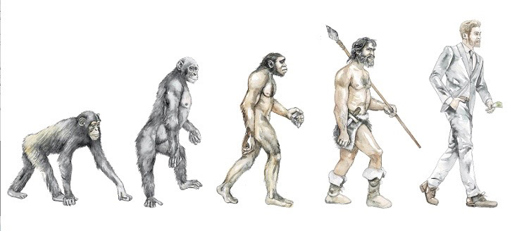 Evolution Business