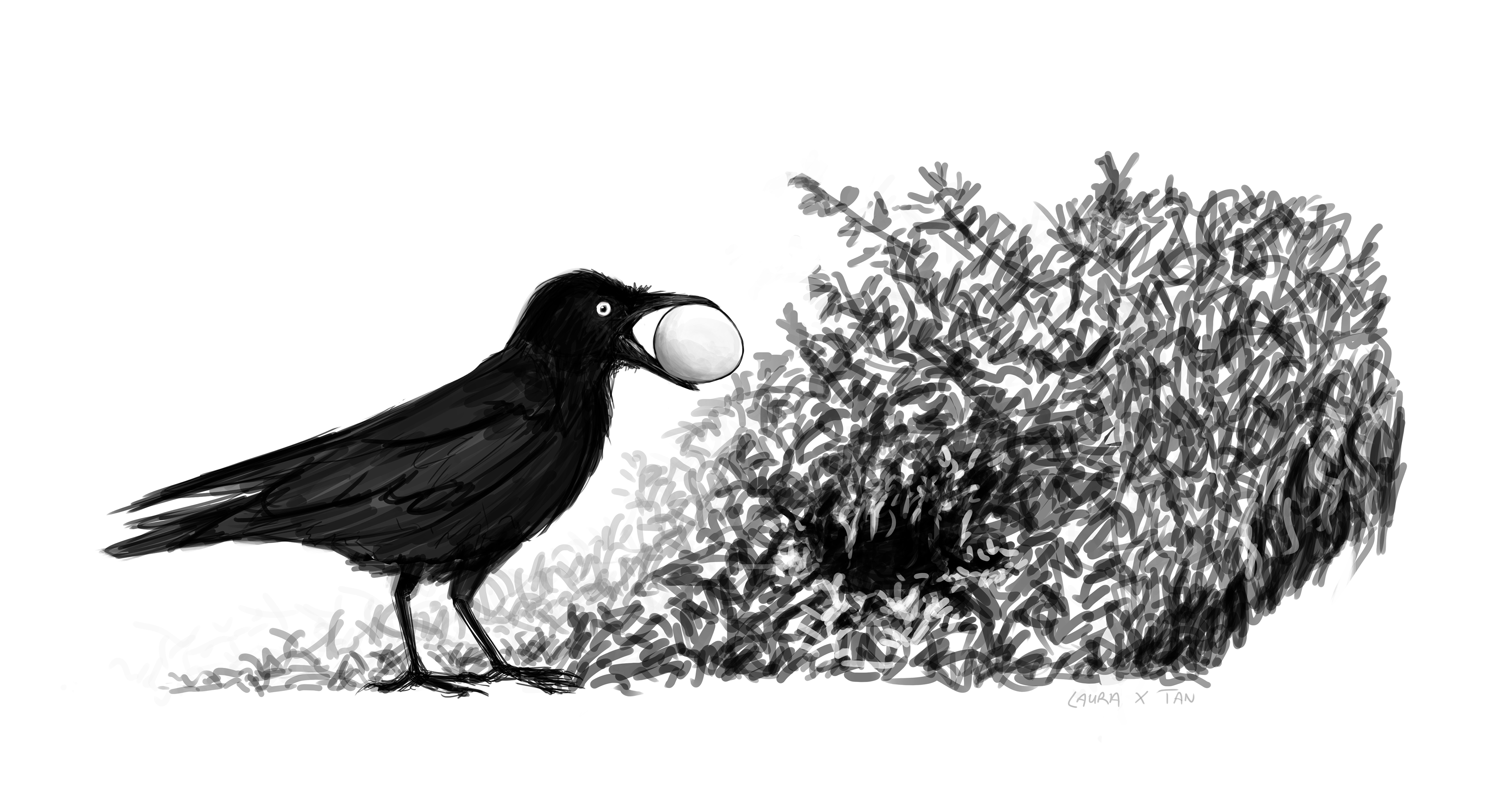 Personal illustration: little raven stealing penguin egg