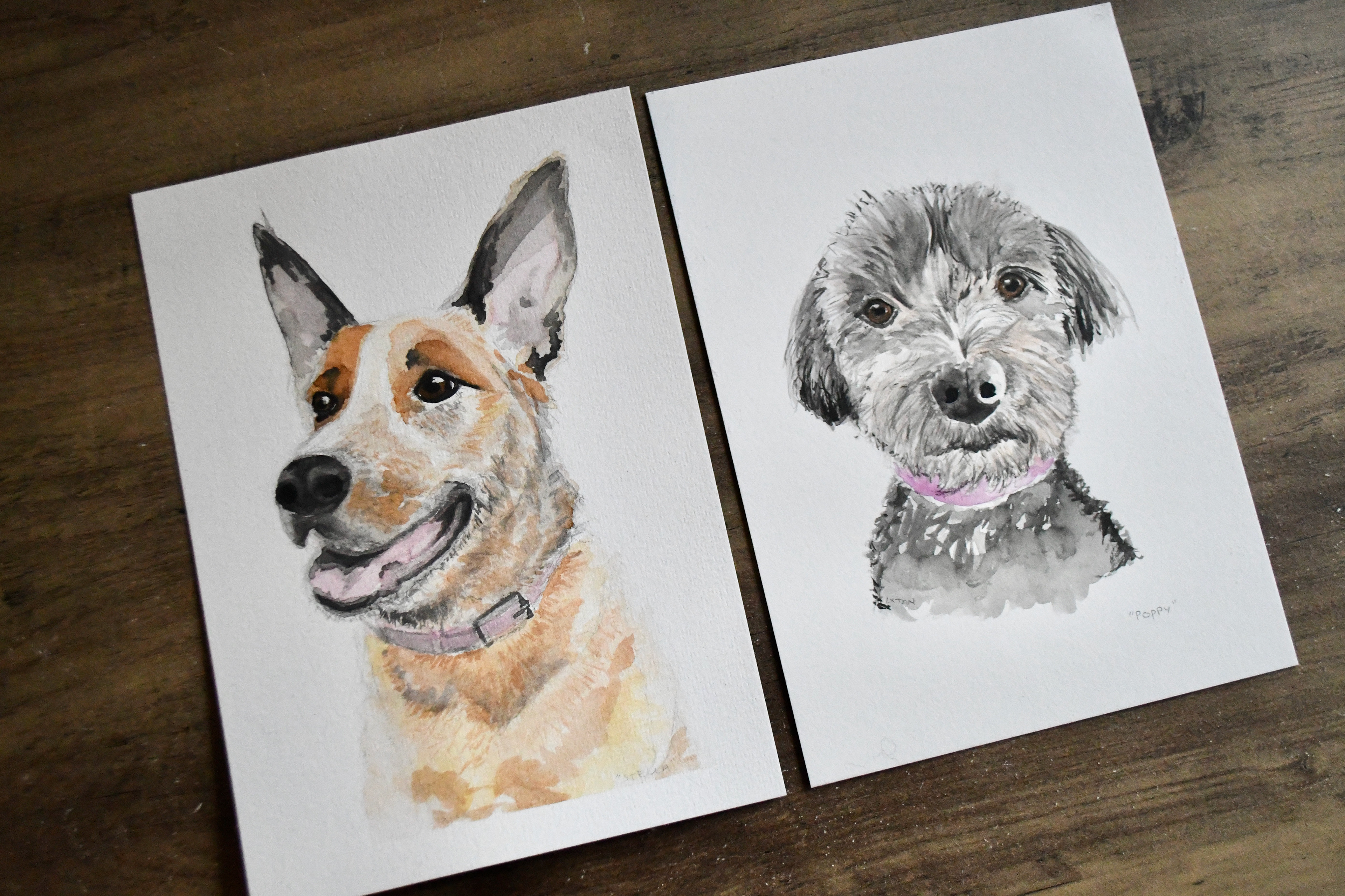 Pet Portraits - "Stella" and "Poppy" side by side