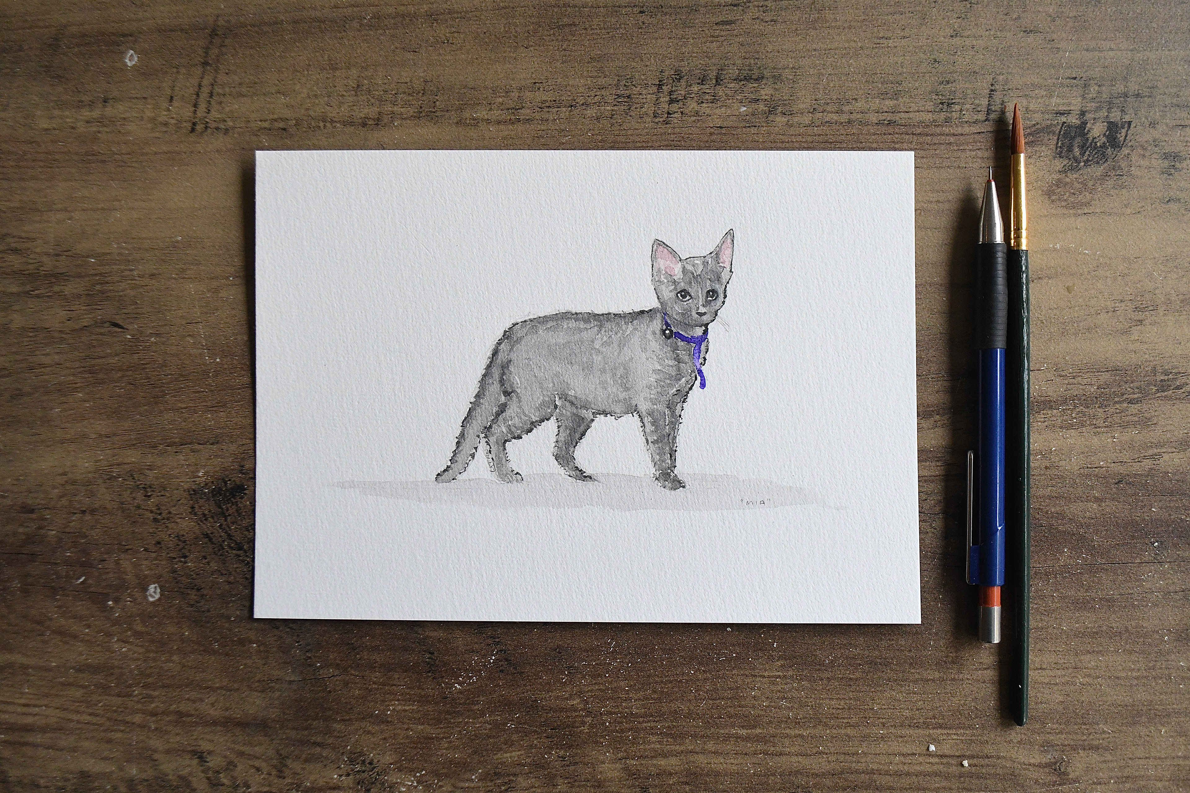 Pet portrait fundraiser - "Mia", watercolour on A5