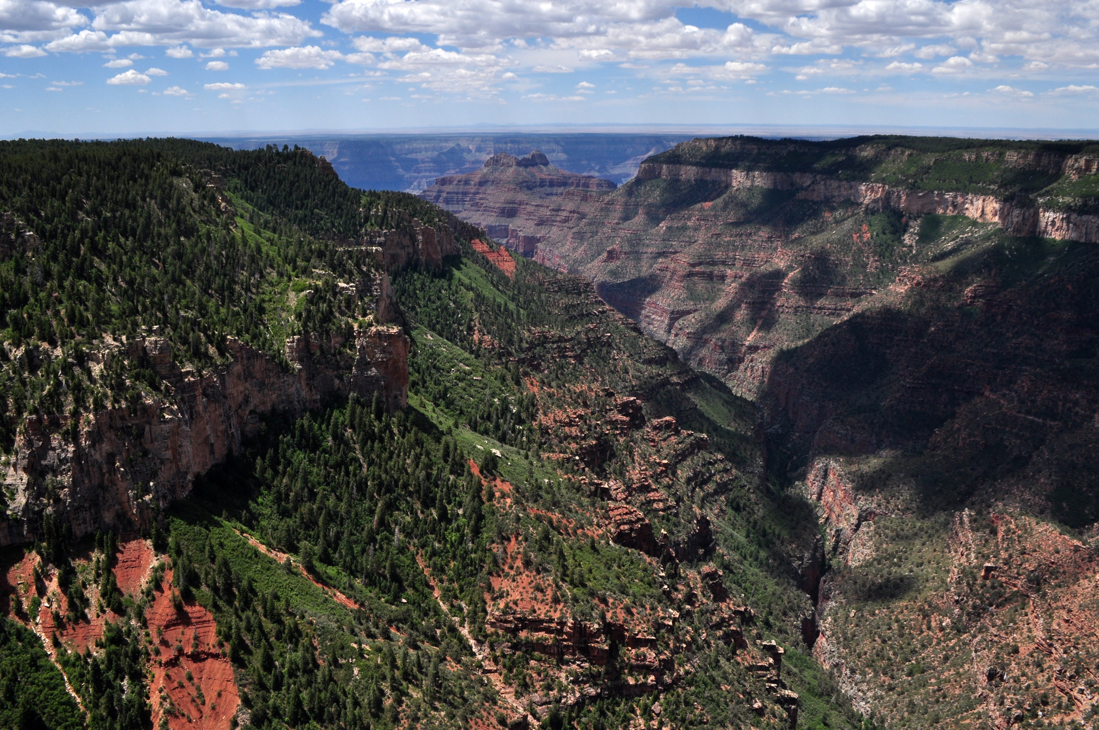 Grand Canyon National Park, Arizona, USA