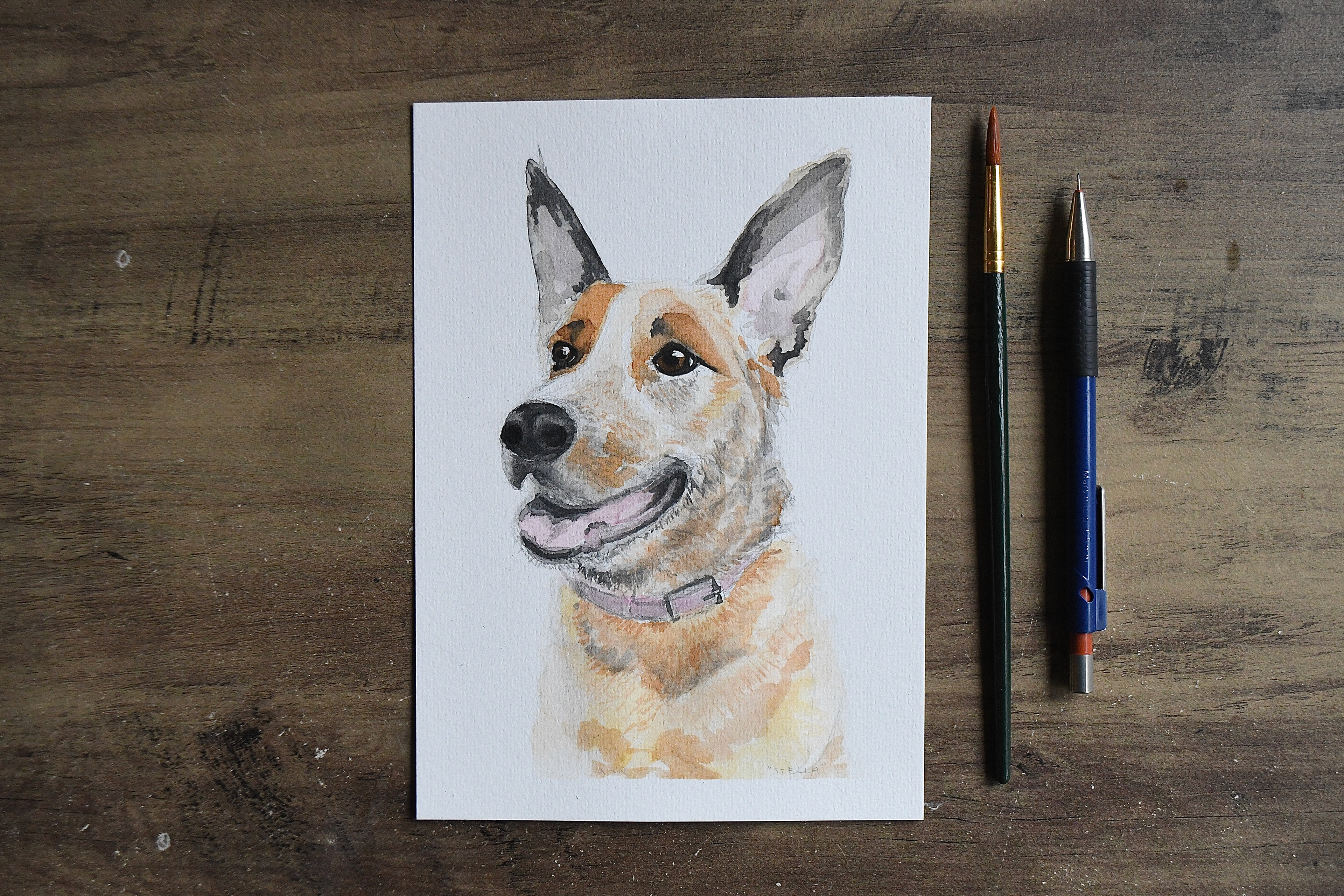 Pet Portrait fundraiser - "Stella", watercolour on A5