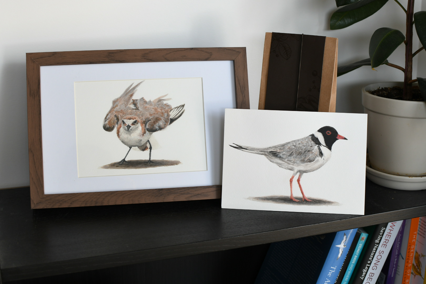 Original shorebird watercolours on A5