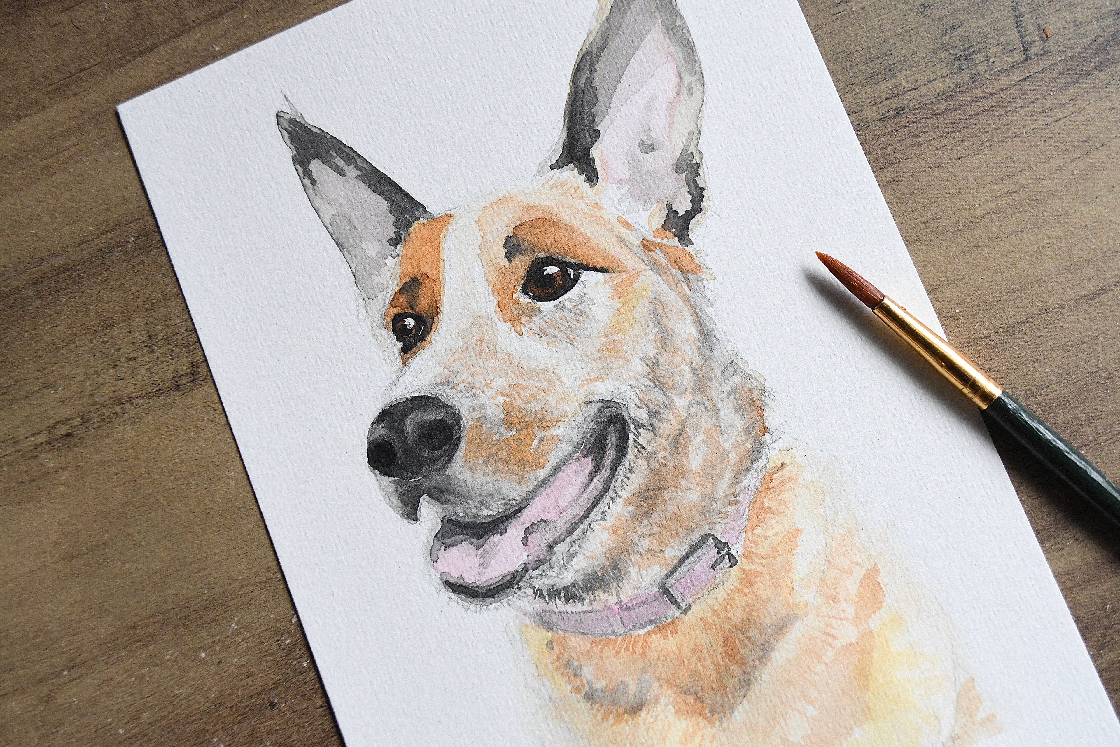 Pet Portrait fundraiser - "Stella", detail