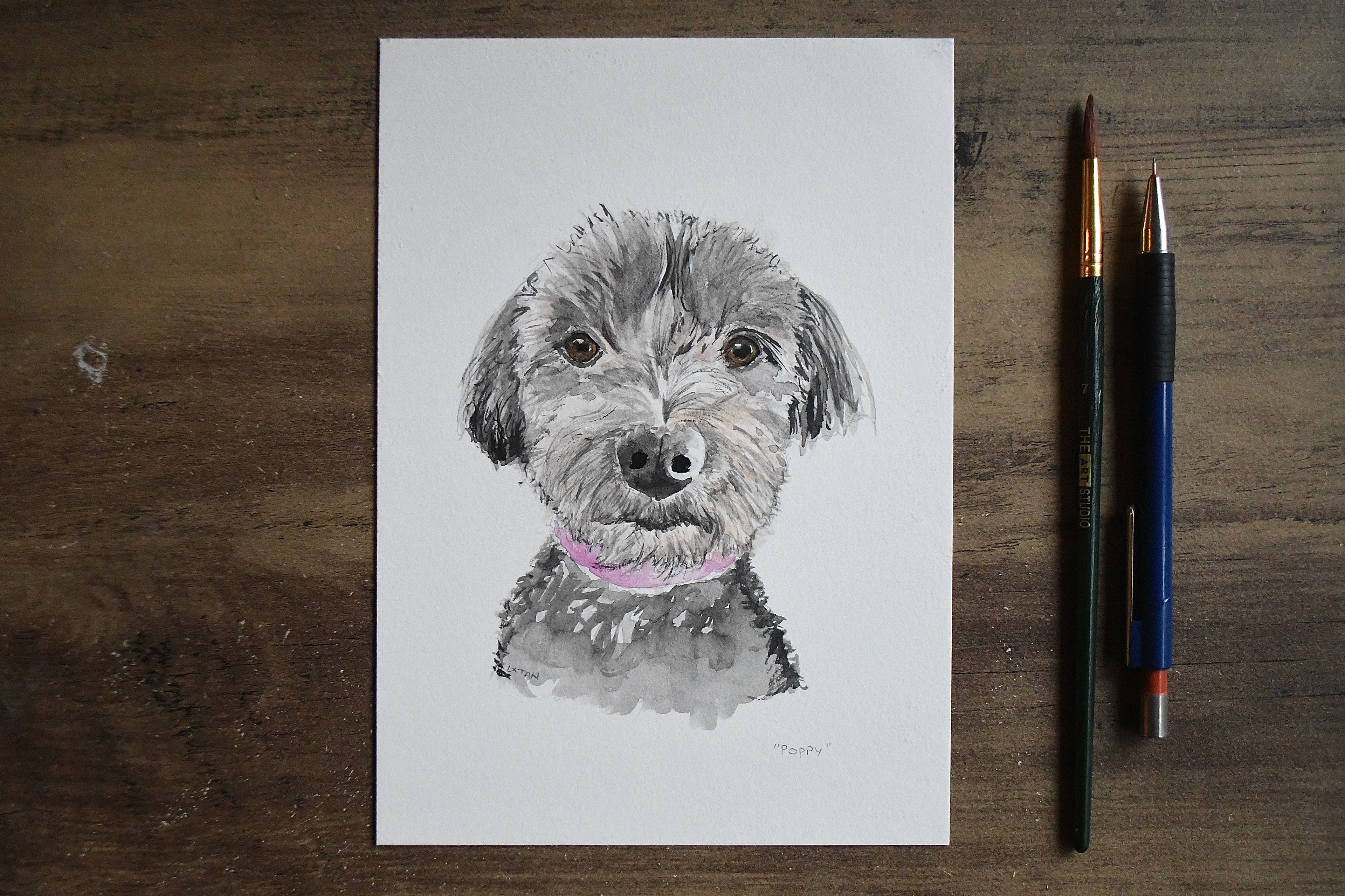 Pet Portrait fundraiser - "Poppy", watercolour on A5