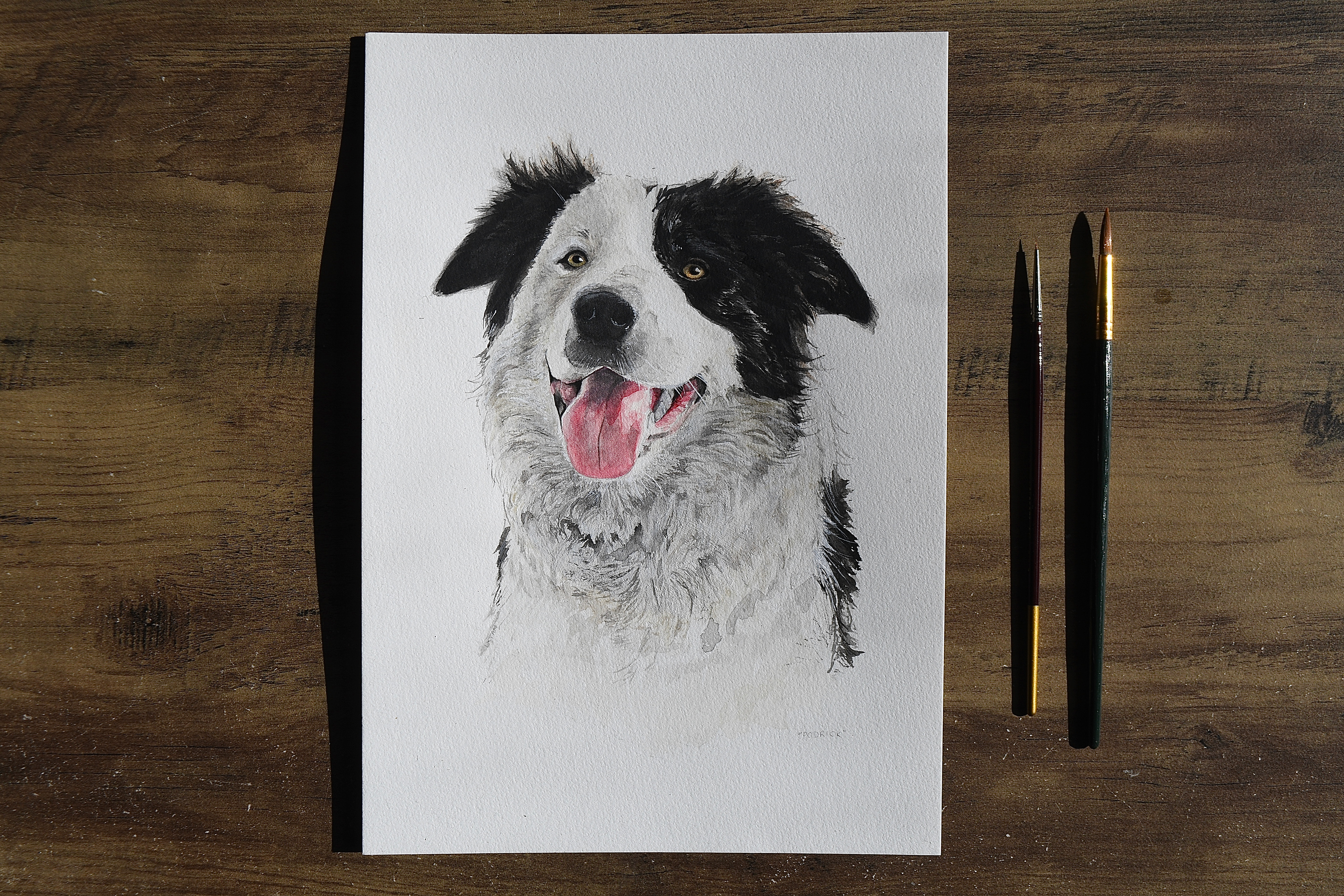 Pet Portrait commission - "Podrick", watercolour on A4