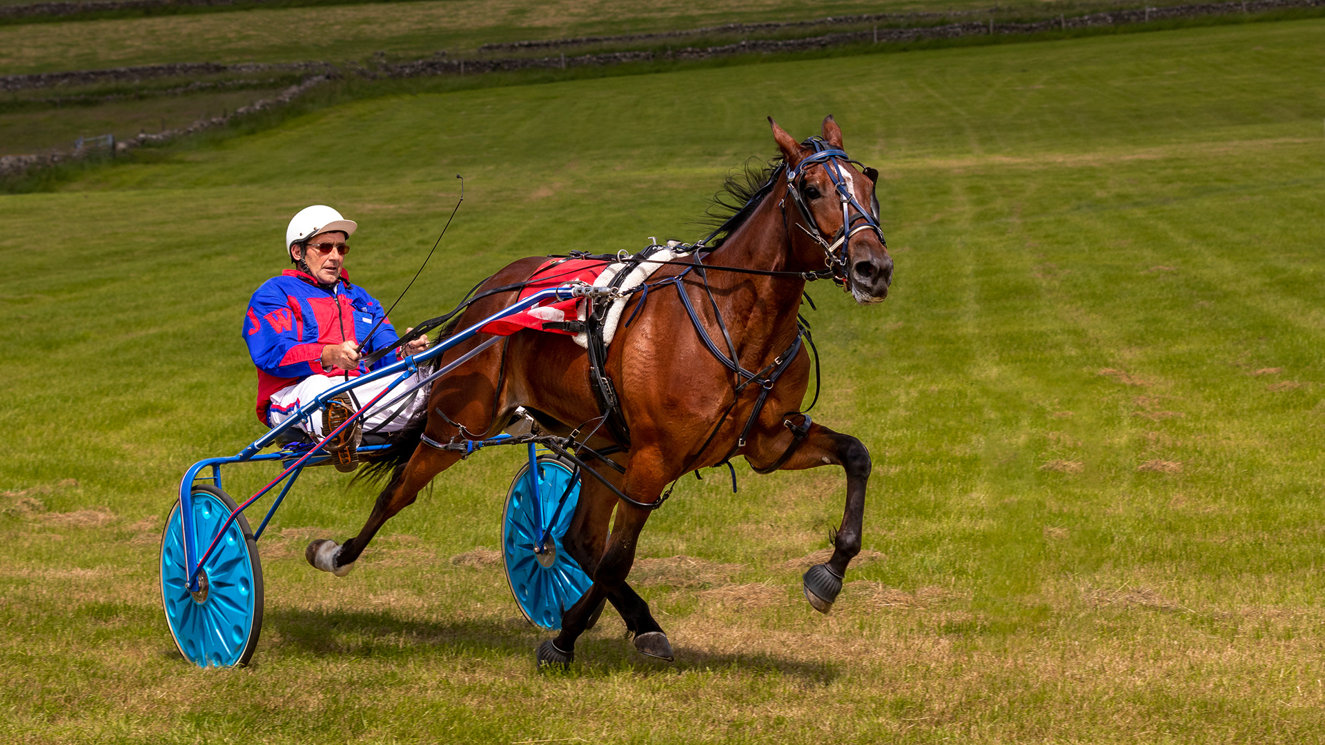 Harness Racing Pikehall - 2019
