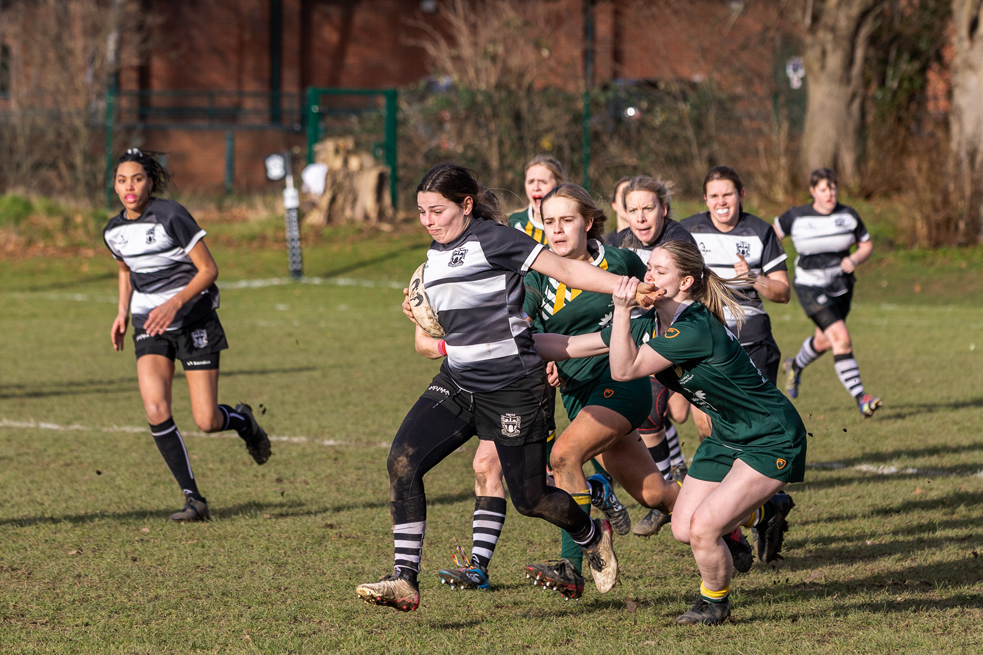 Belper Ladies Rugby - 2023