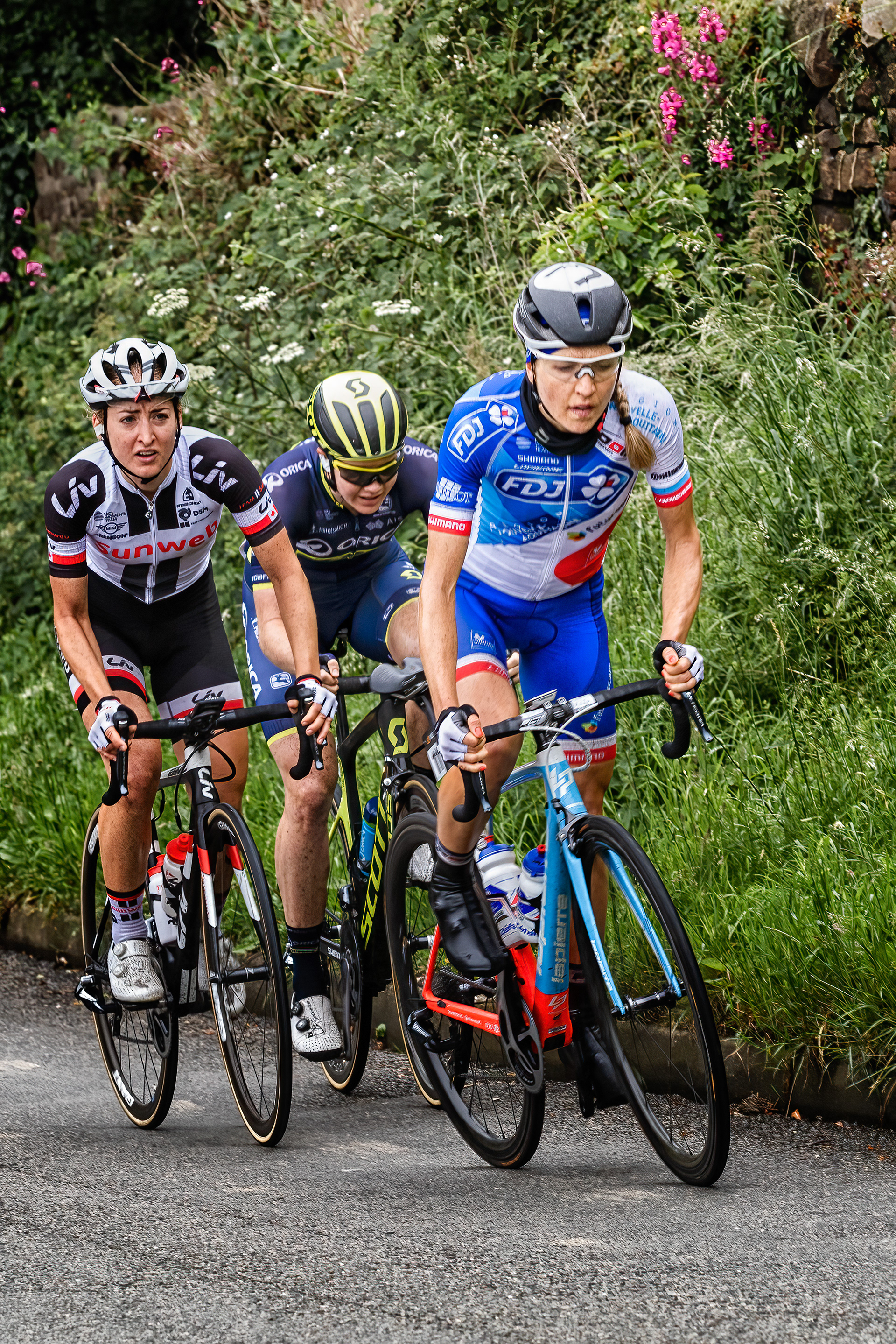 Ladies ToB - 2016