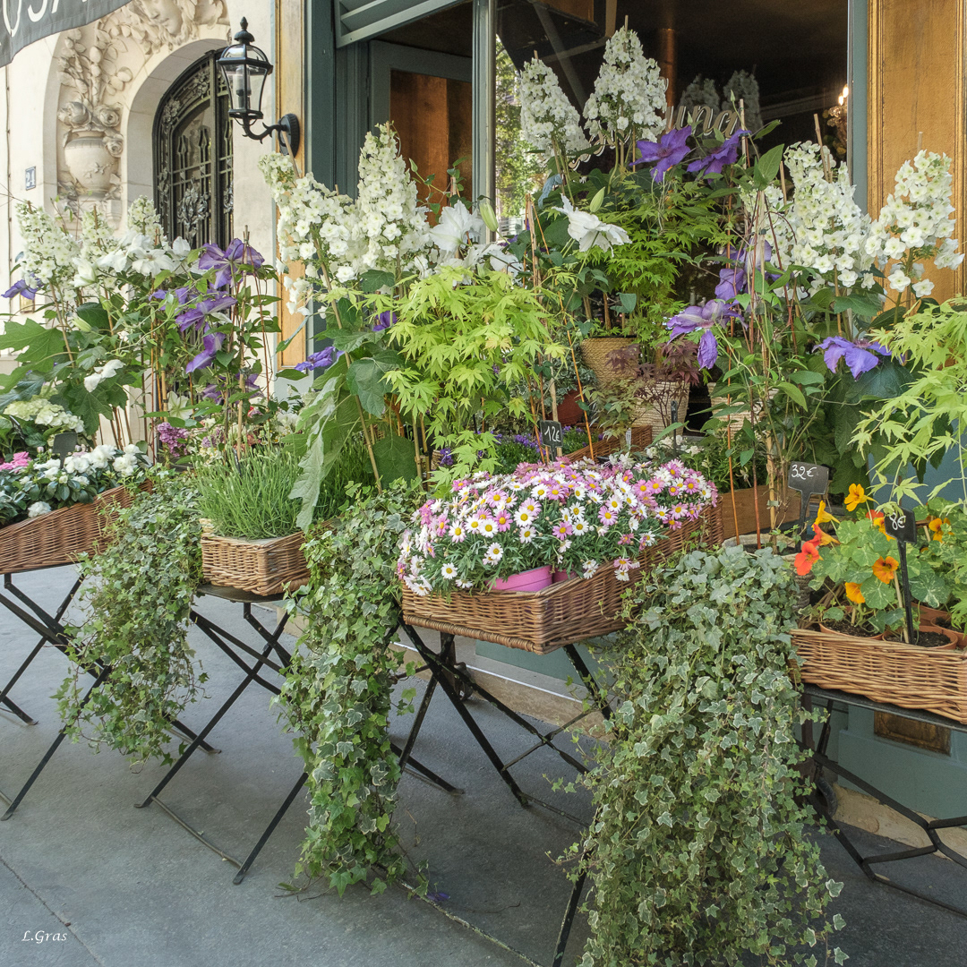 Fleuriste Paris