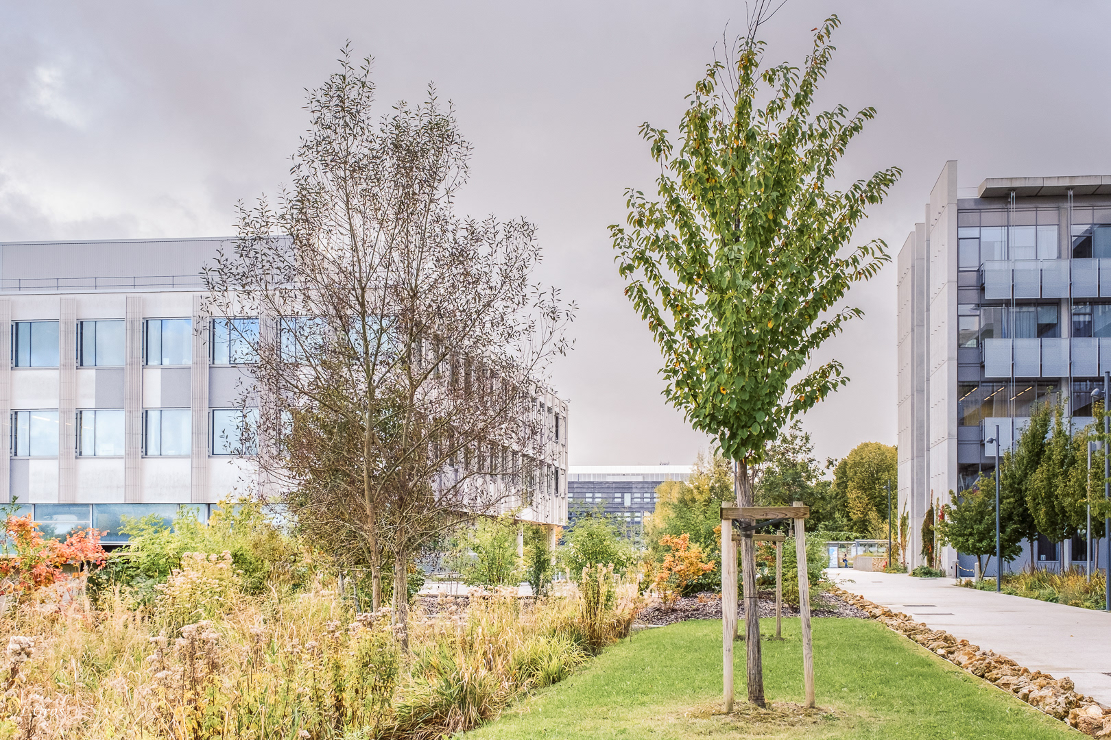 Campus universitaire Paris-Saclay