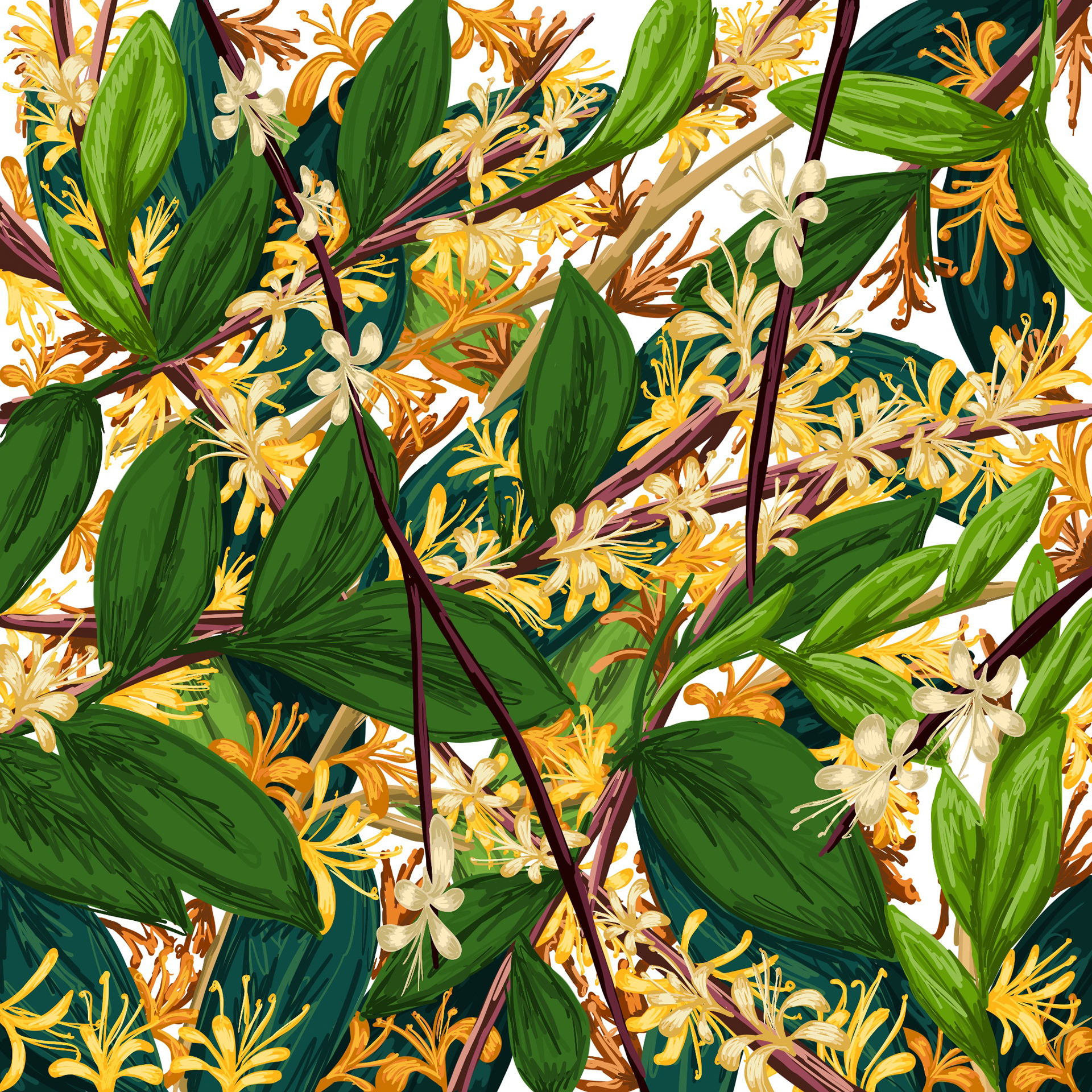 Honeysuckles | Made with Procreate