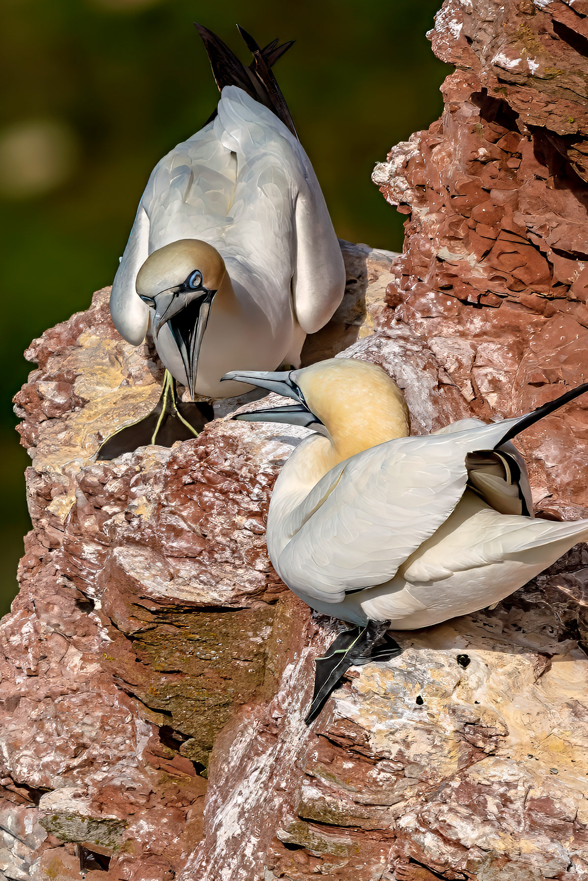Gestritten wird natürlich auch immer