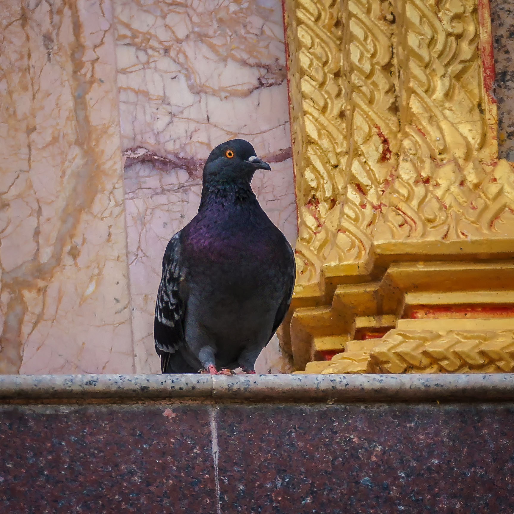 female