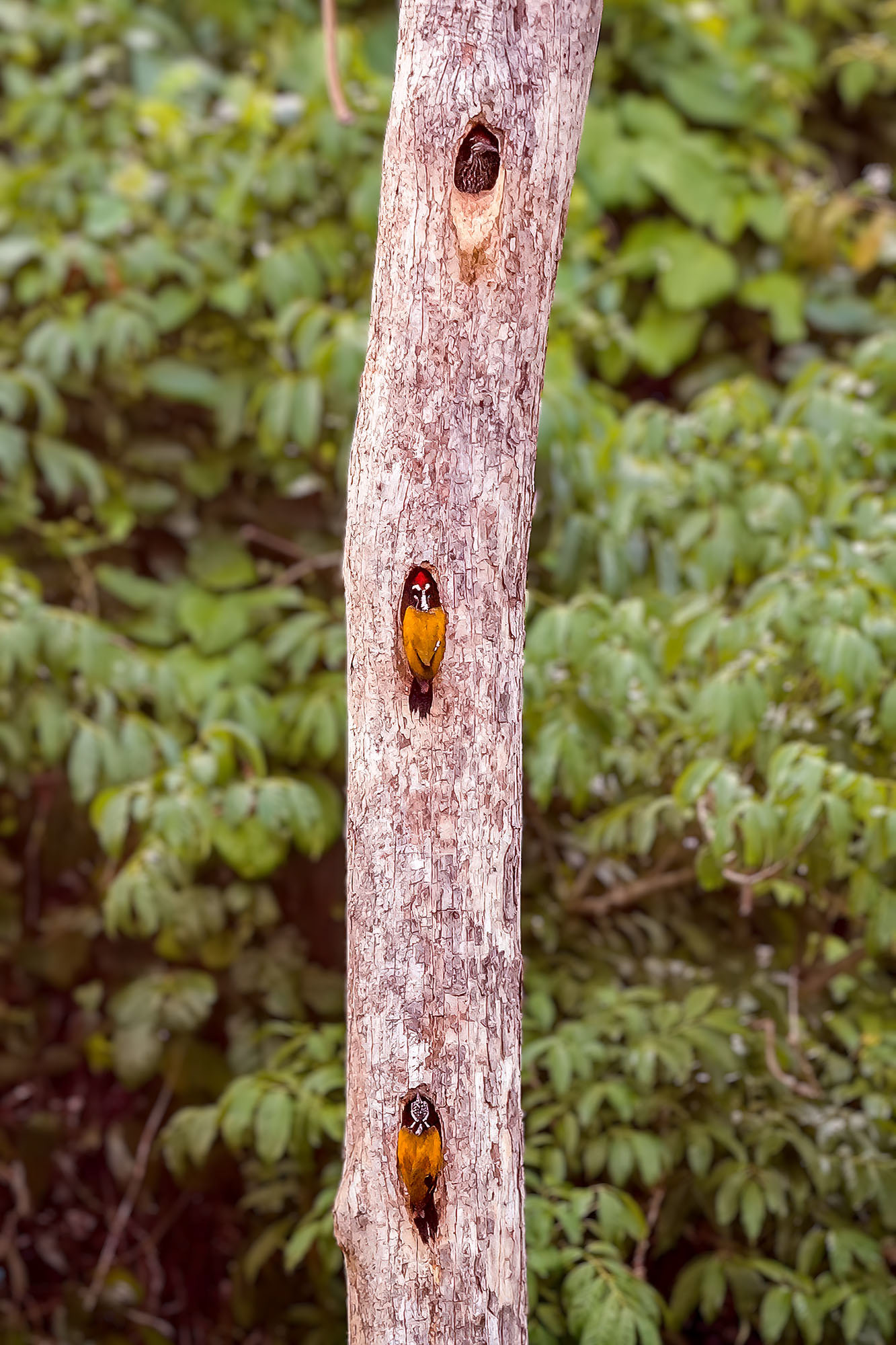 Alle Appartments sind besetzt