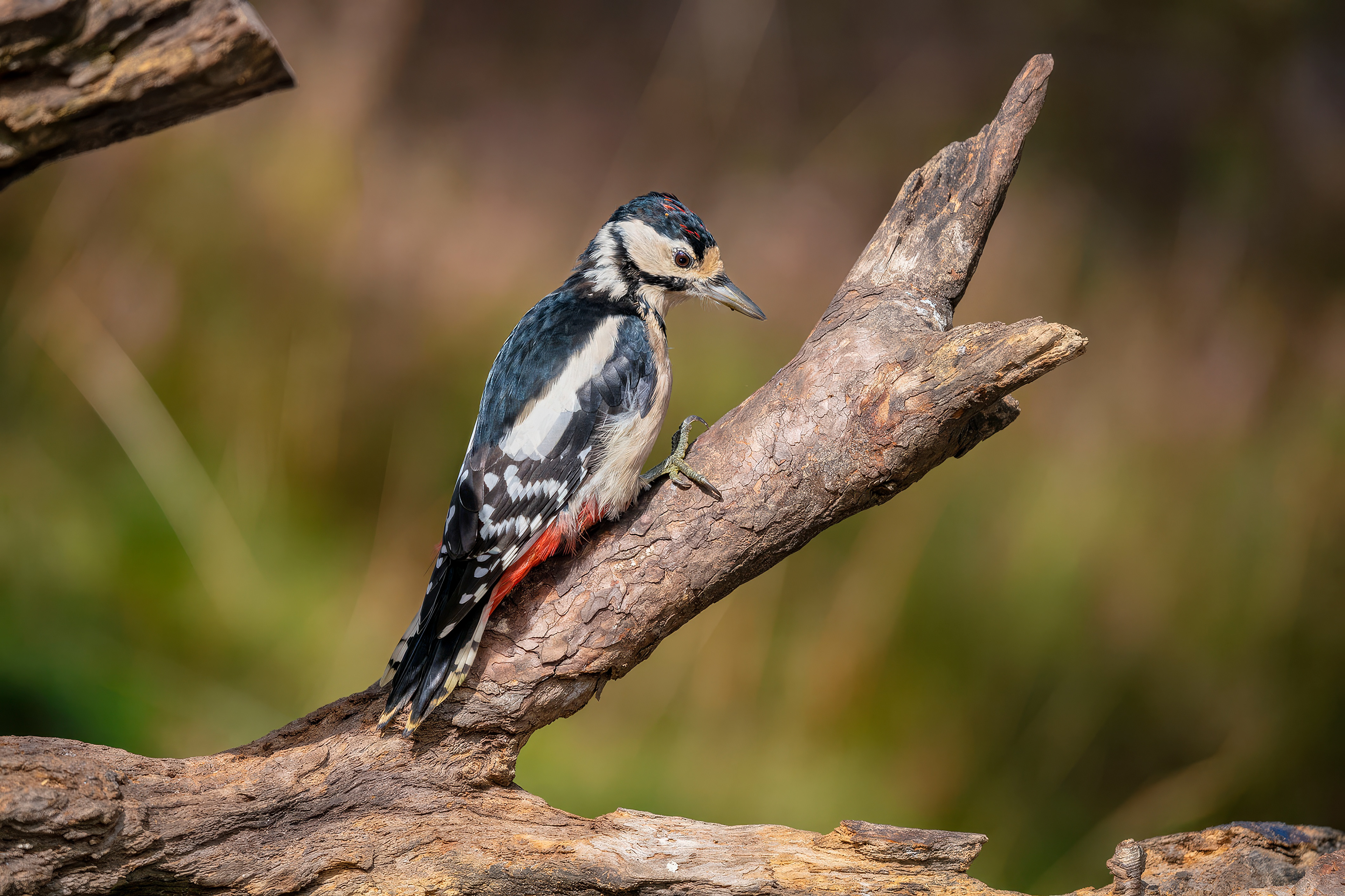 female