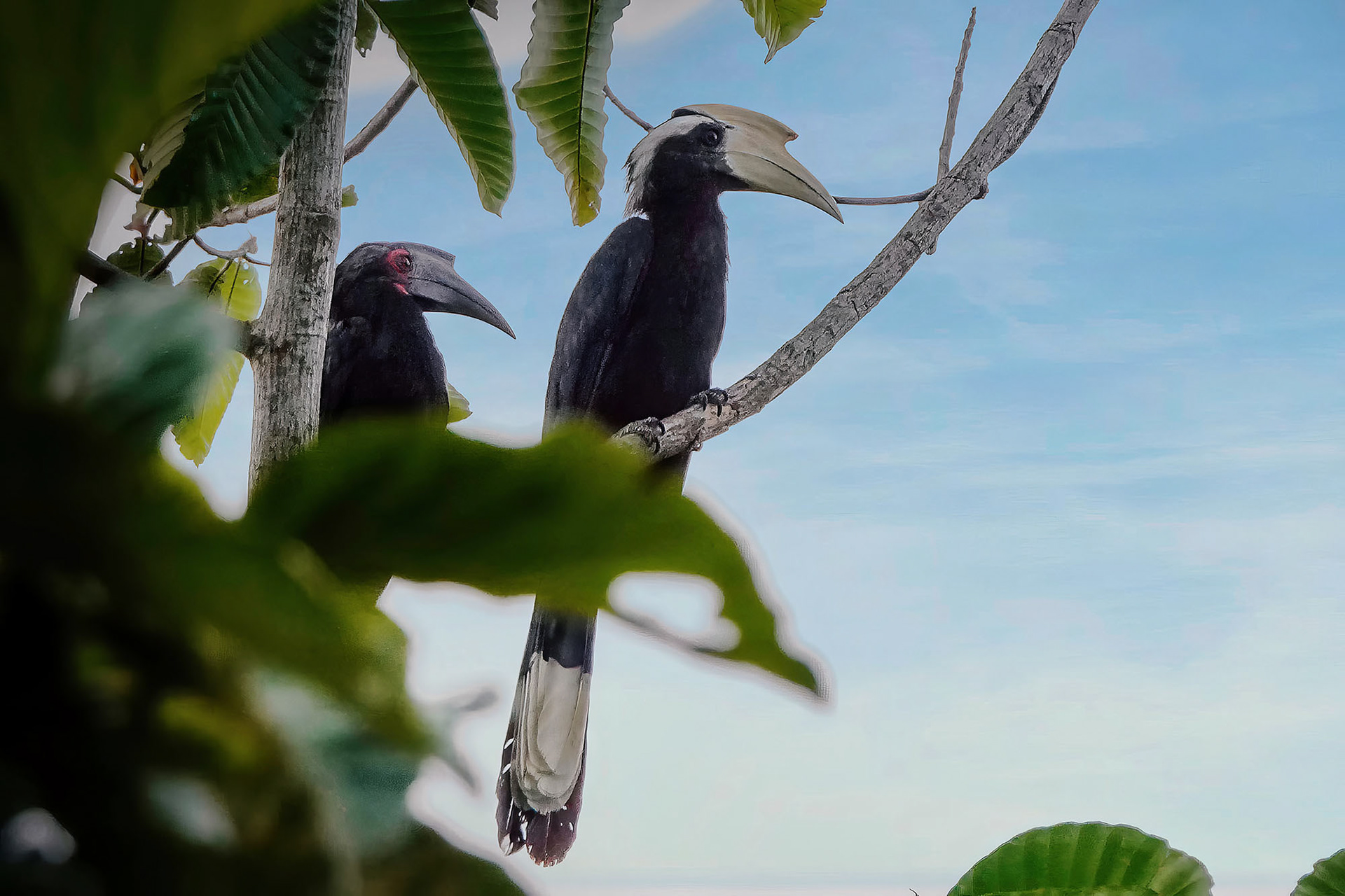 male& female