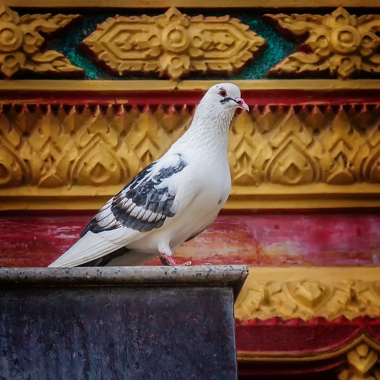 male