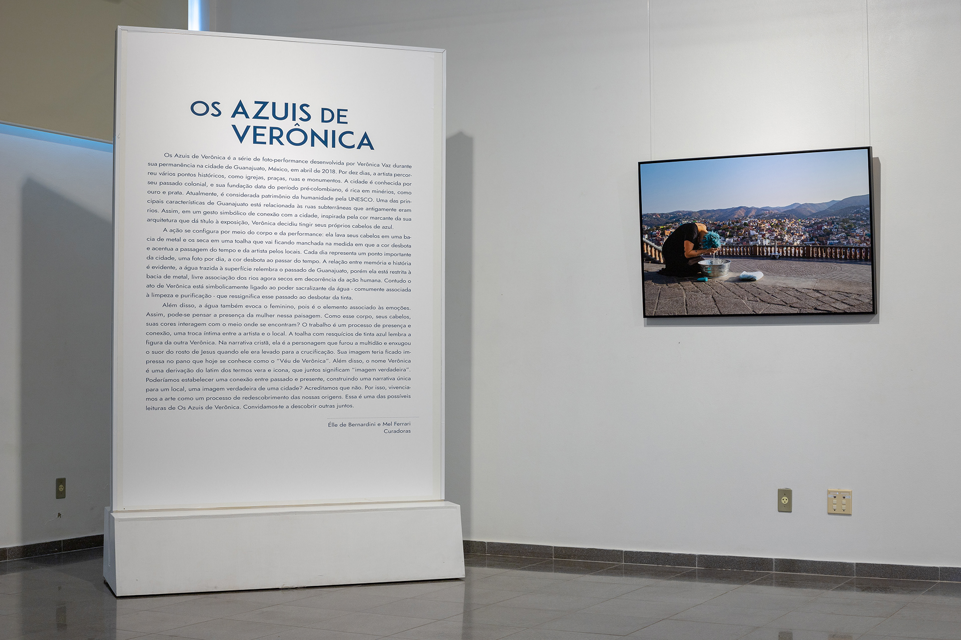 Os Azuis de Verônica de Verônica Vaz