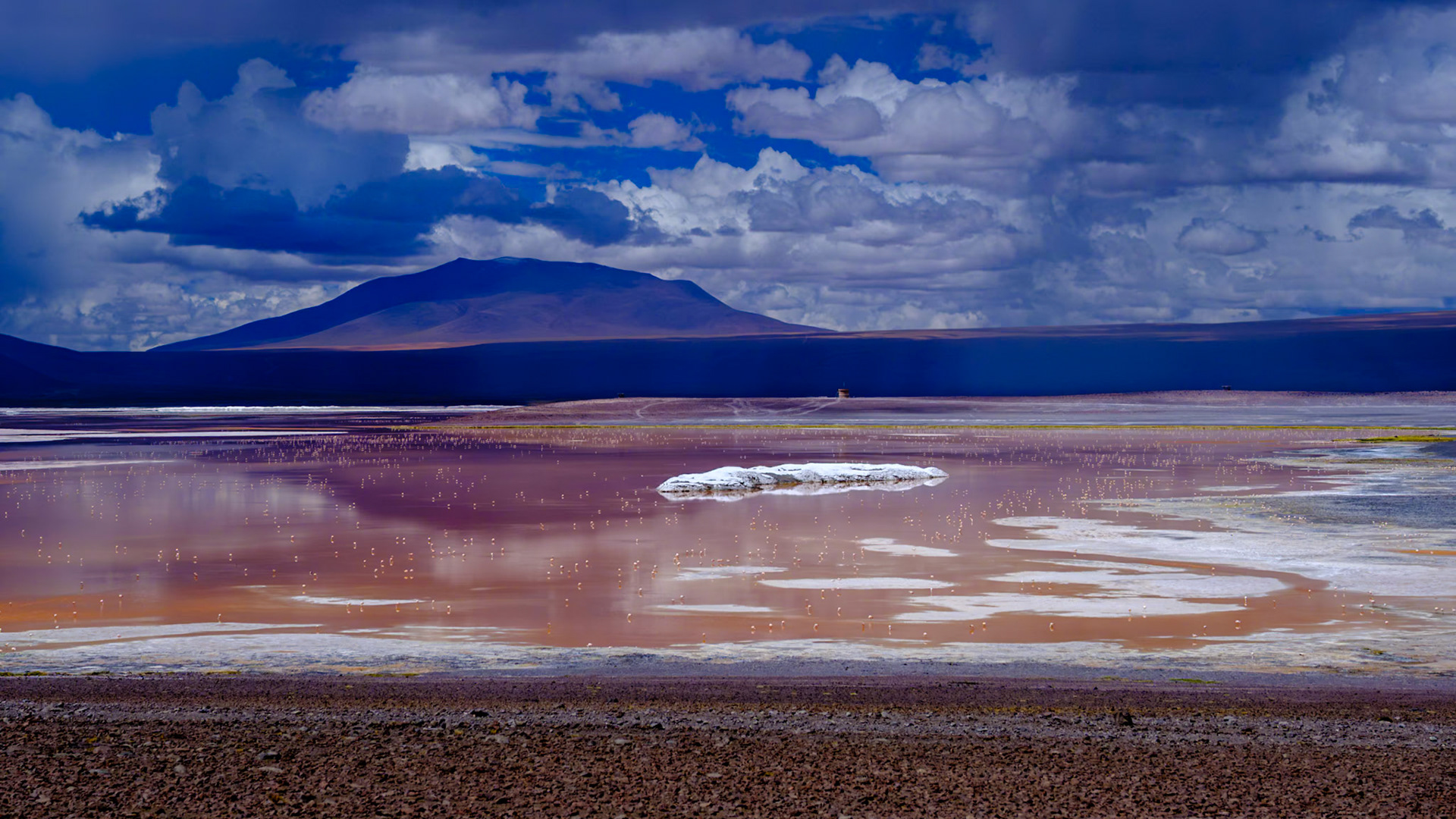 Red Lagoon Bolivia