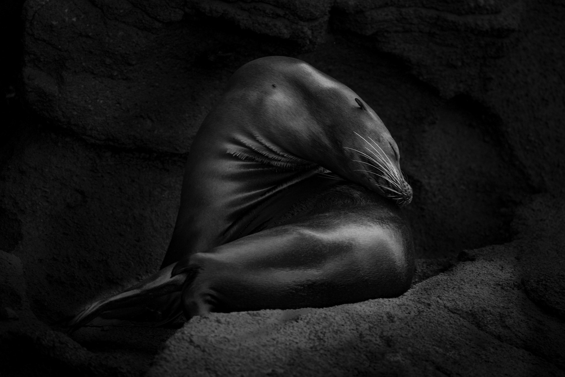 A perfect gesture—captured in a cliffside hollow, illuminated only by light reflected from the rocks and water below.