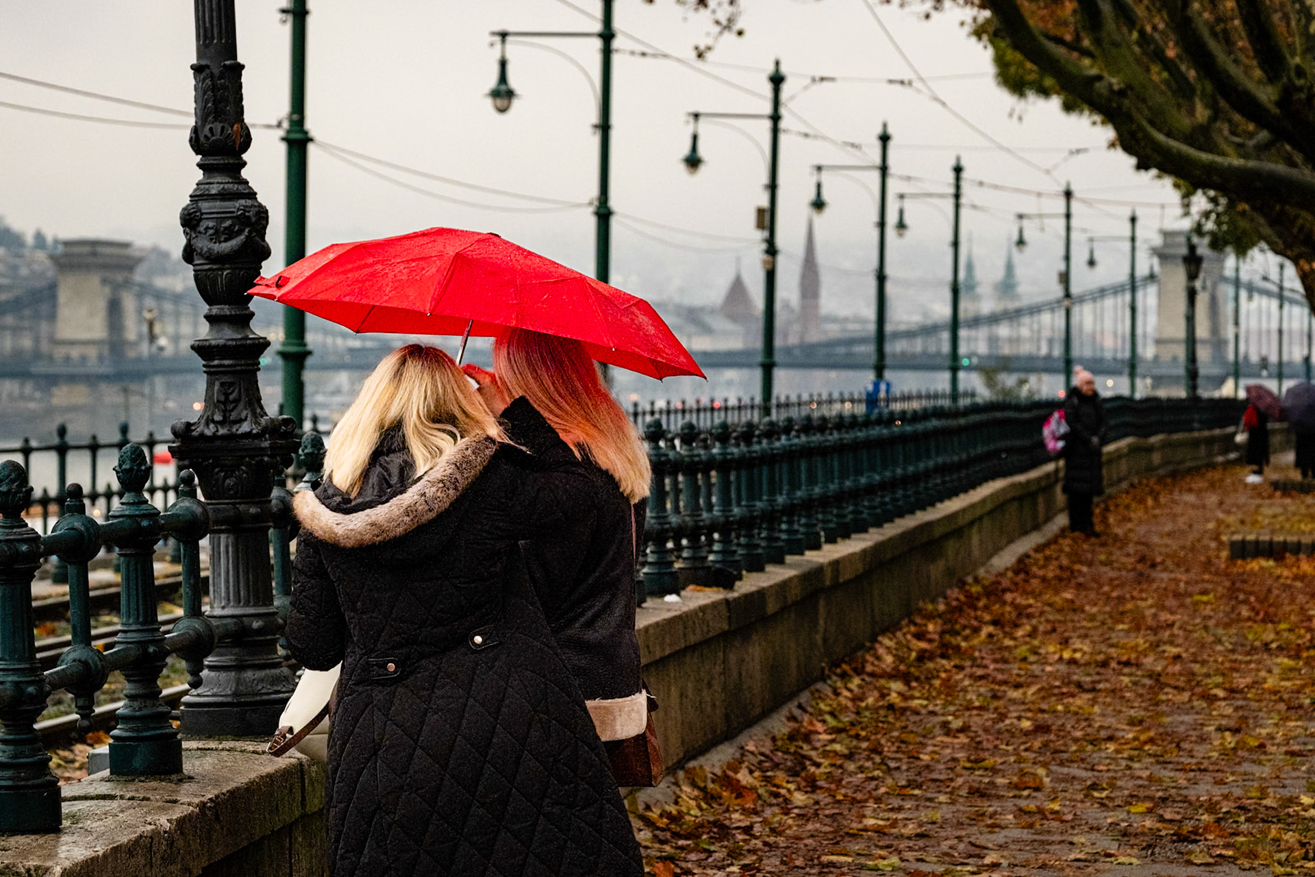 On a rainy Budapest afternoon, the scene I imagined quietly stepped into the frame.