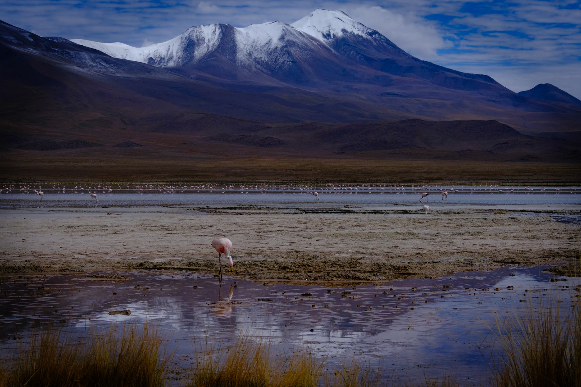 Bolivia