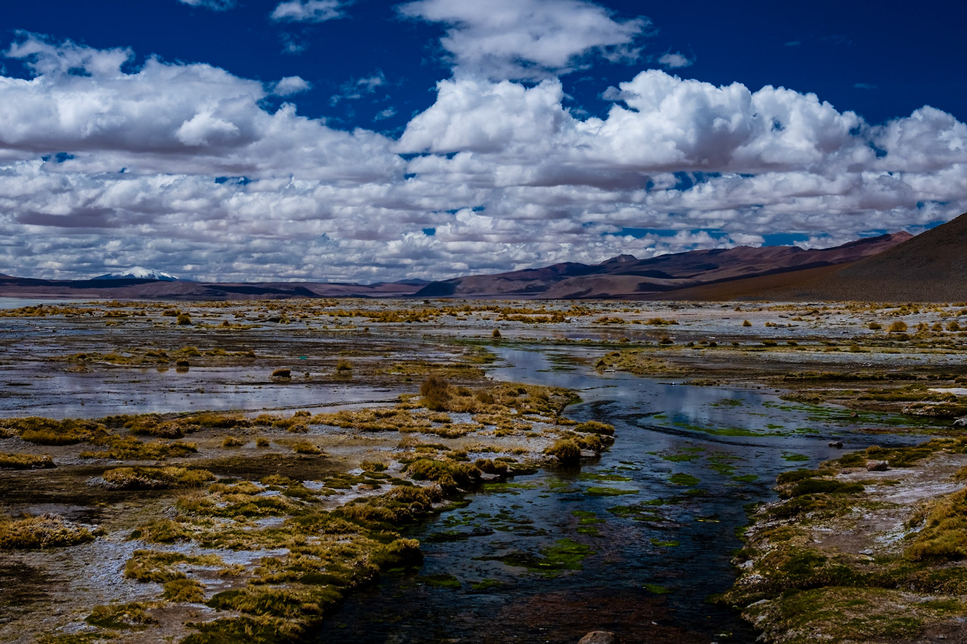 Bolivia