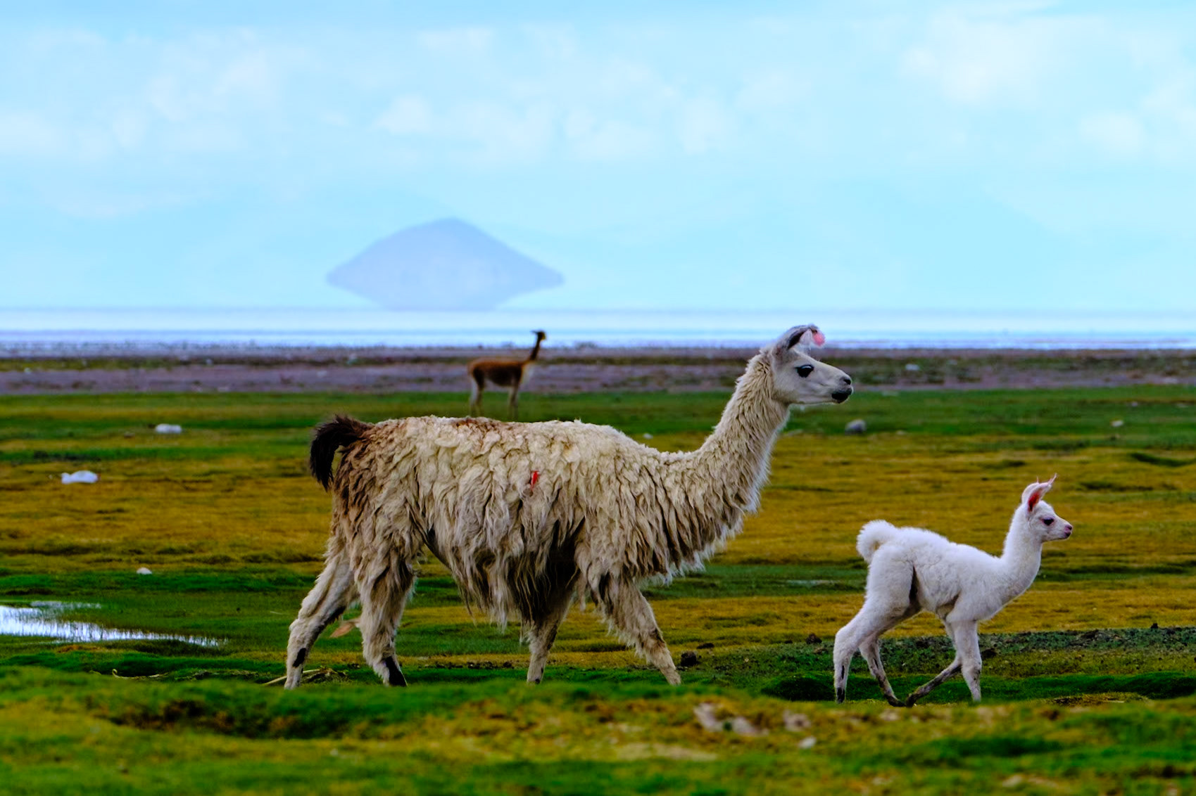 Bolivia