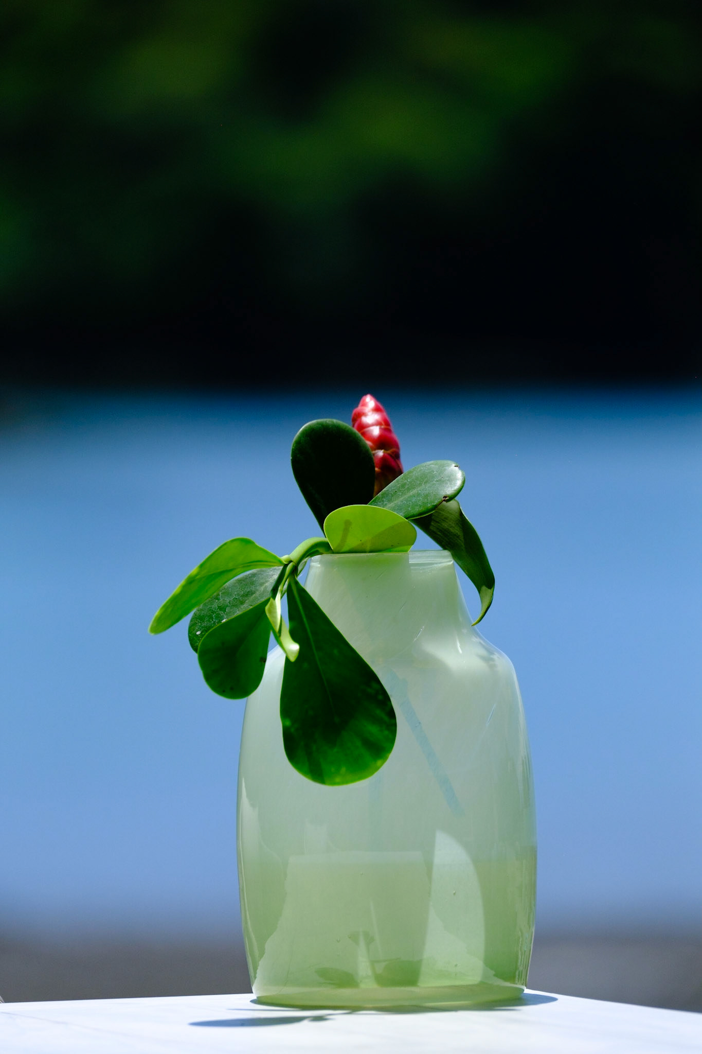 The Ultraluxe Isla Secas!