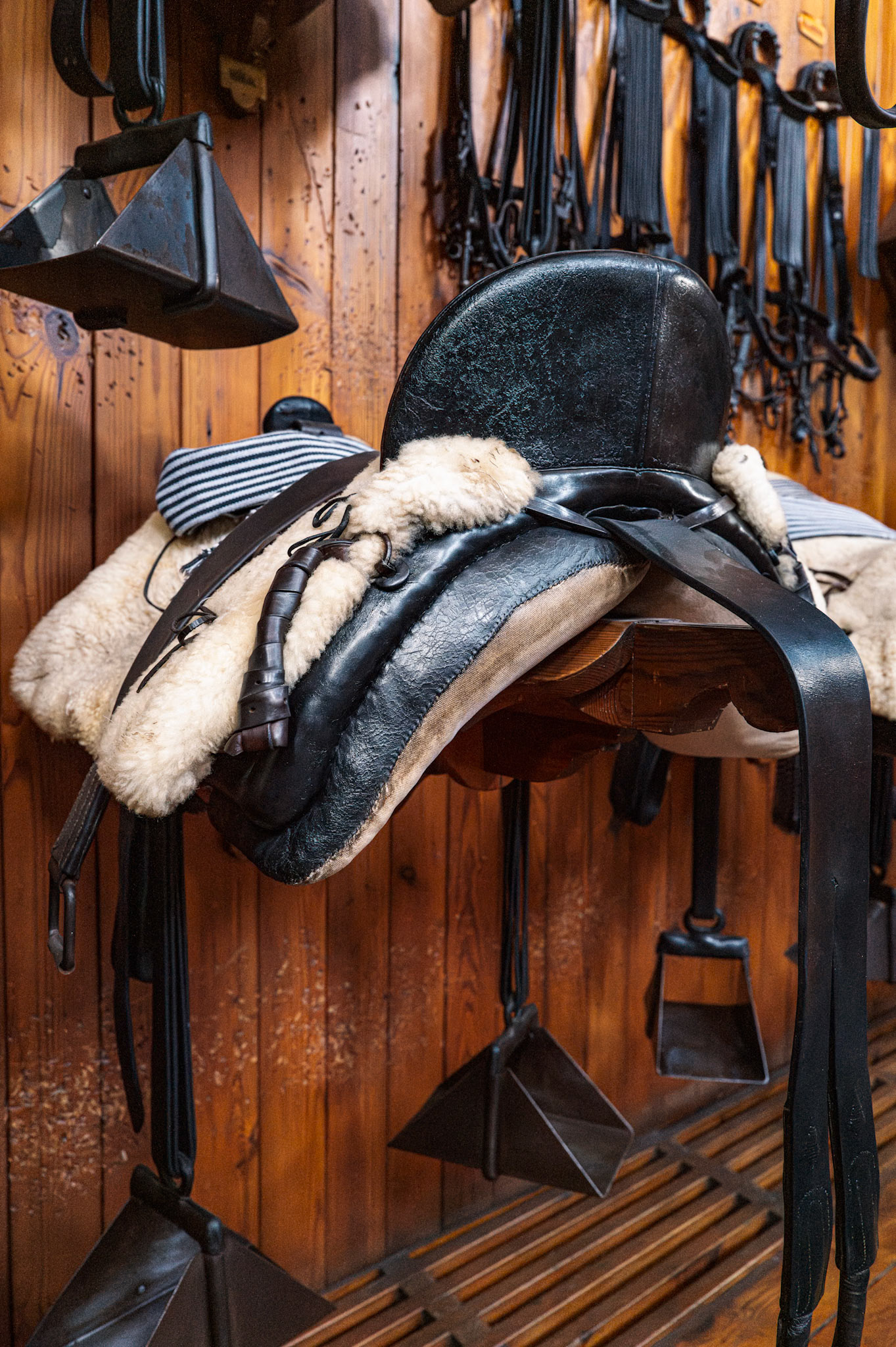 Royal Andalusian School of Equestrian Art  - Jerez de la Frontera, Spain