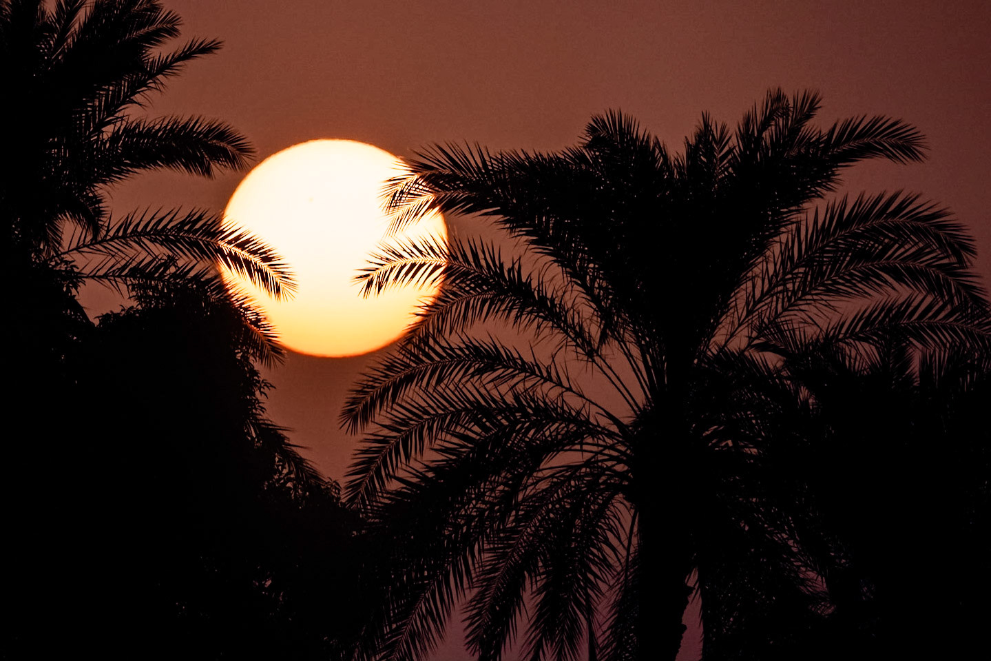 The Nile River - Egypt