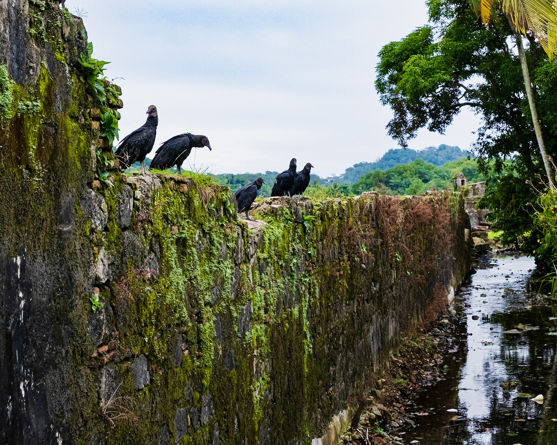 Bahía de Portobelo, Portobelo, Panama