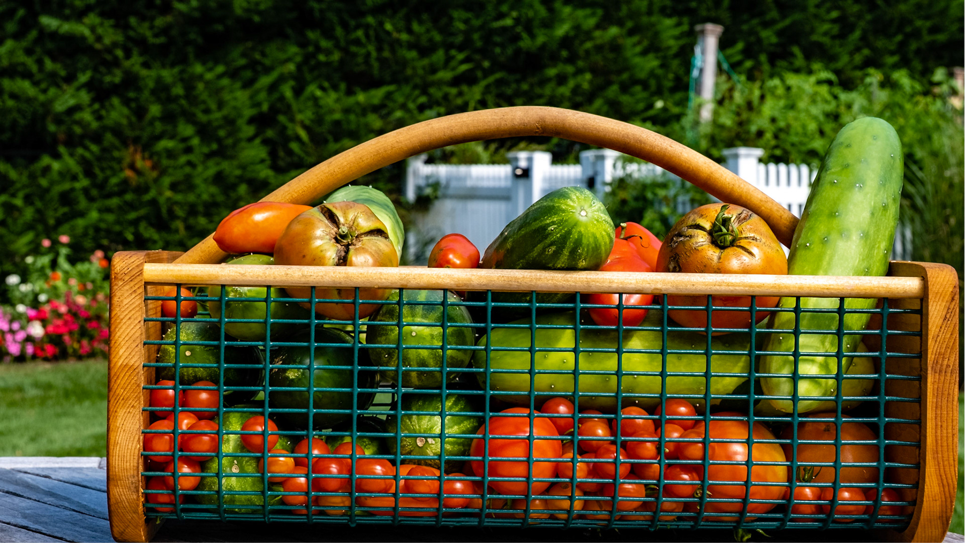 our farm to our table