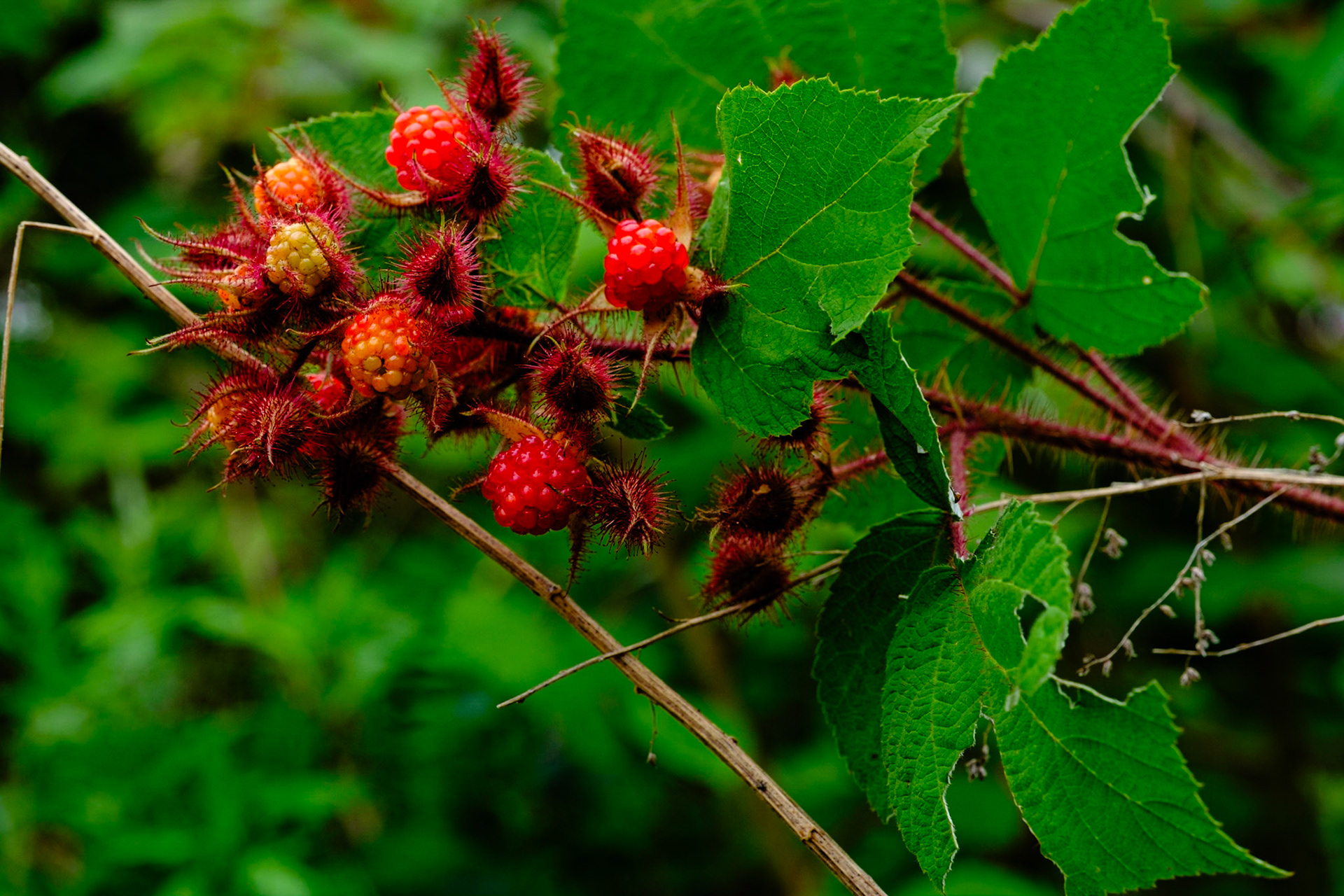 Sandy Hook Lighthouse
