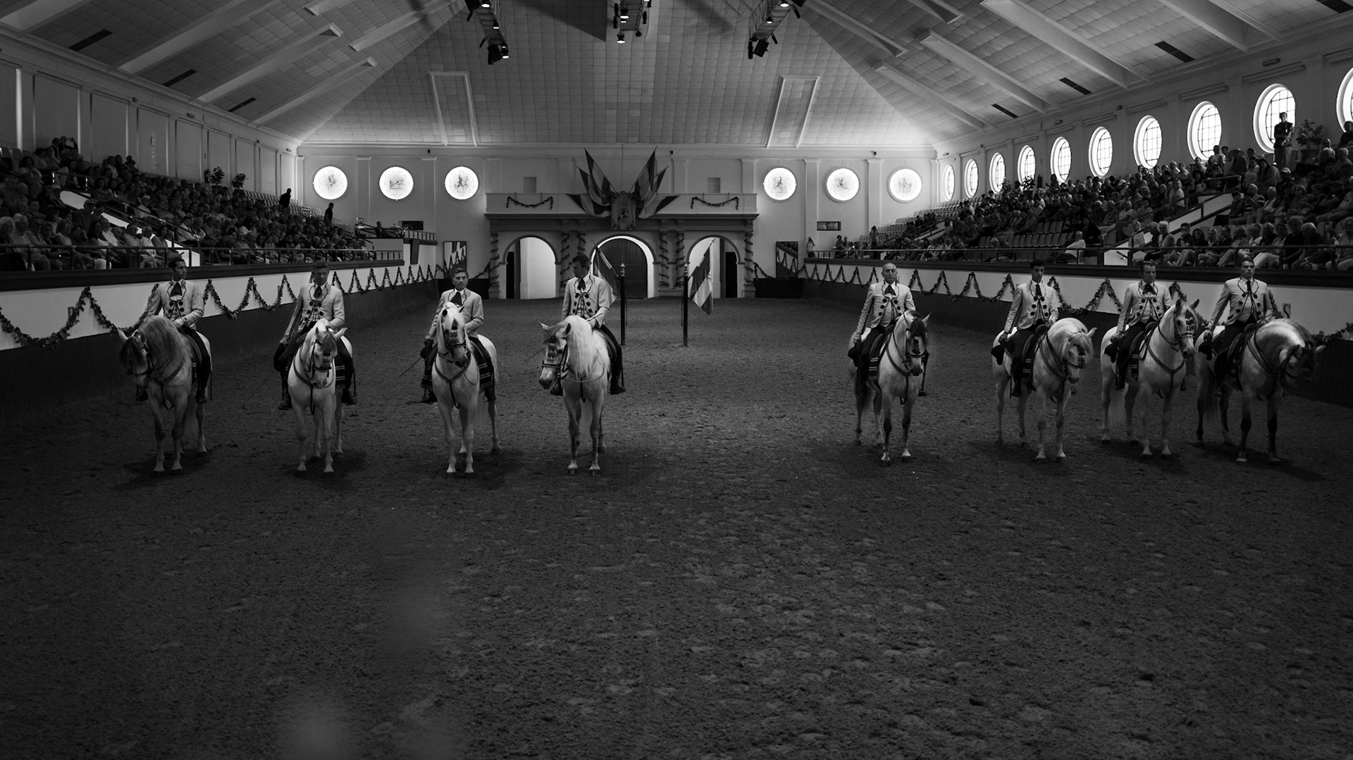 Royal Andalusian School of Equestrian Art  - Jerez de la Frontera, Spain