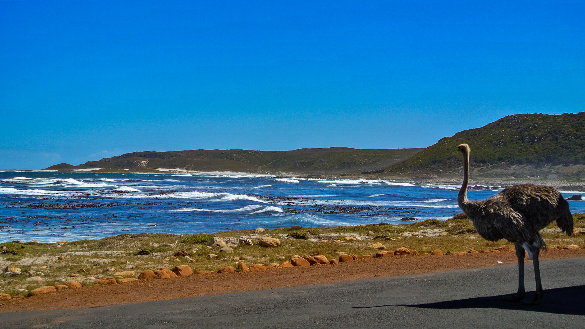 Cape of Good Hope - South Africa