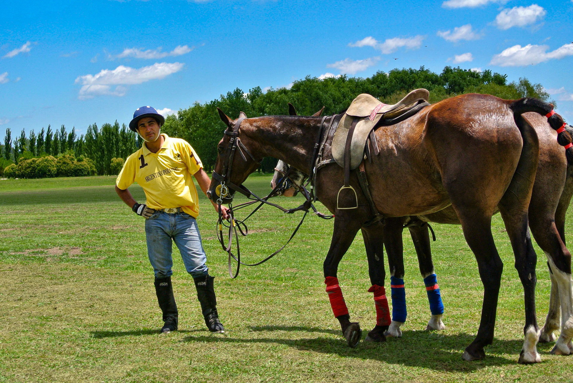 Polo - Olavarria Argentina