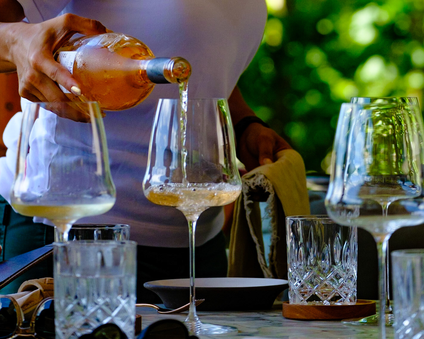 impeccable service - Isla Secas Panama