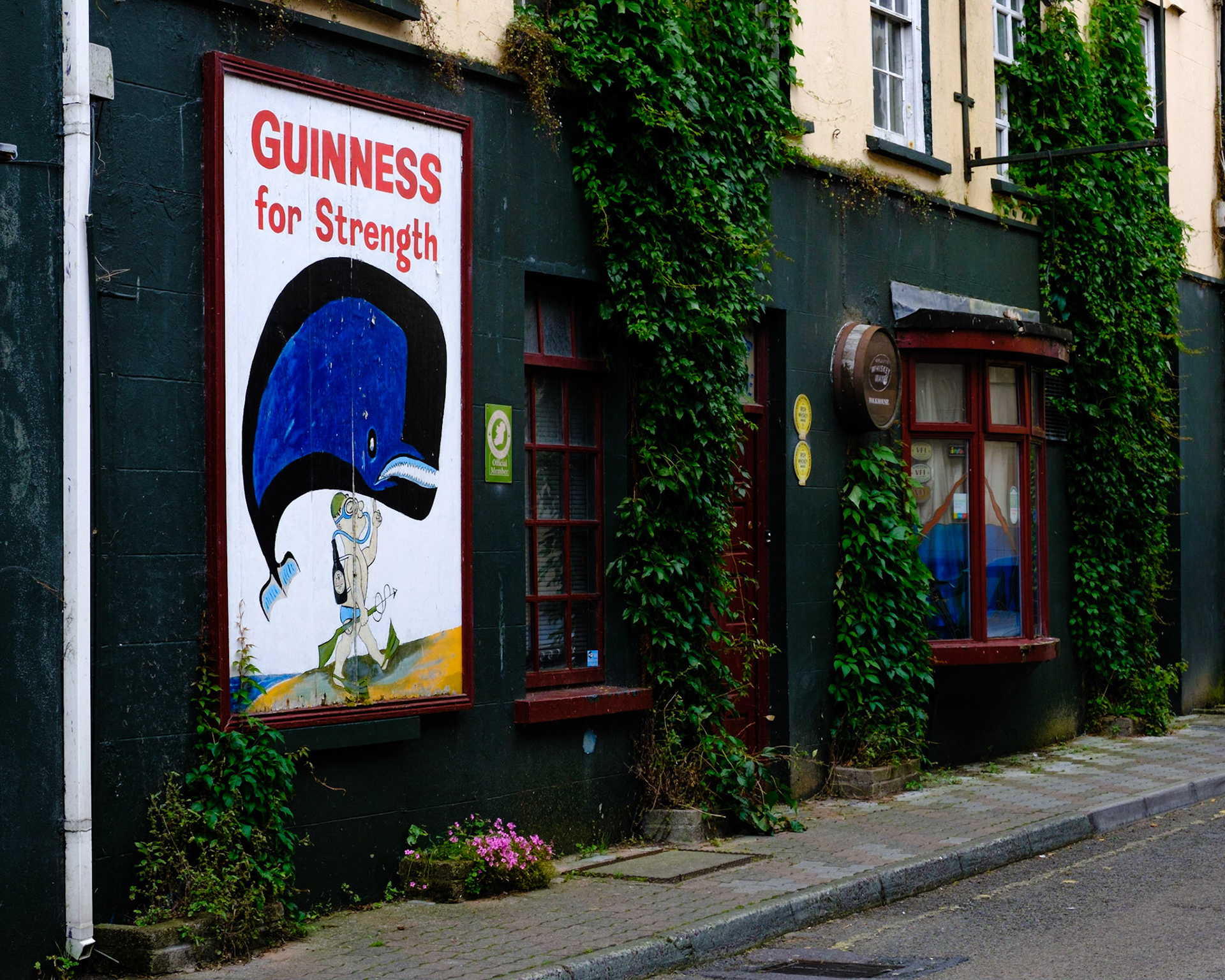 Guinness for strength