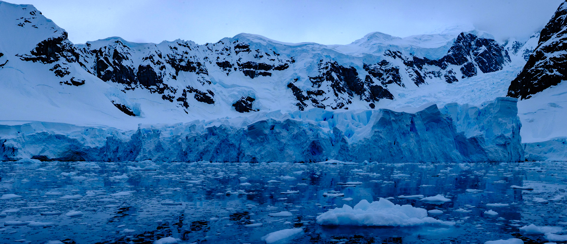 BASE BROWN / PARADISE BAY