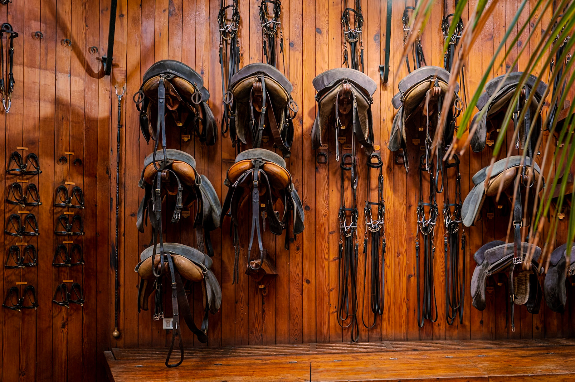 Royal Andalusian School of Equestrian Art  - Jerez de la Frontera, Spain