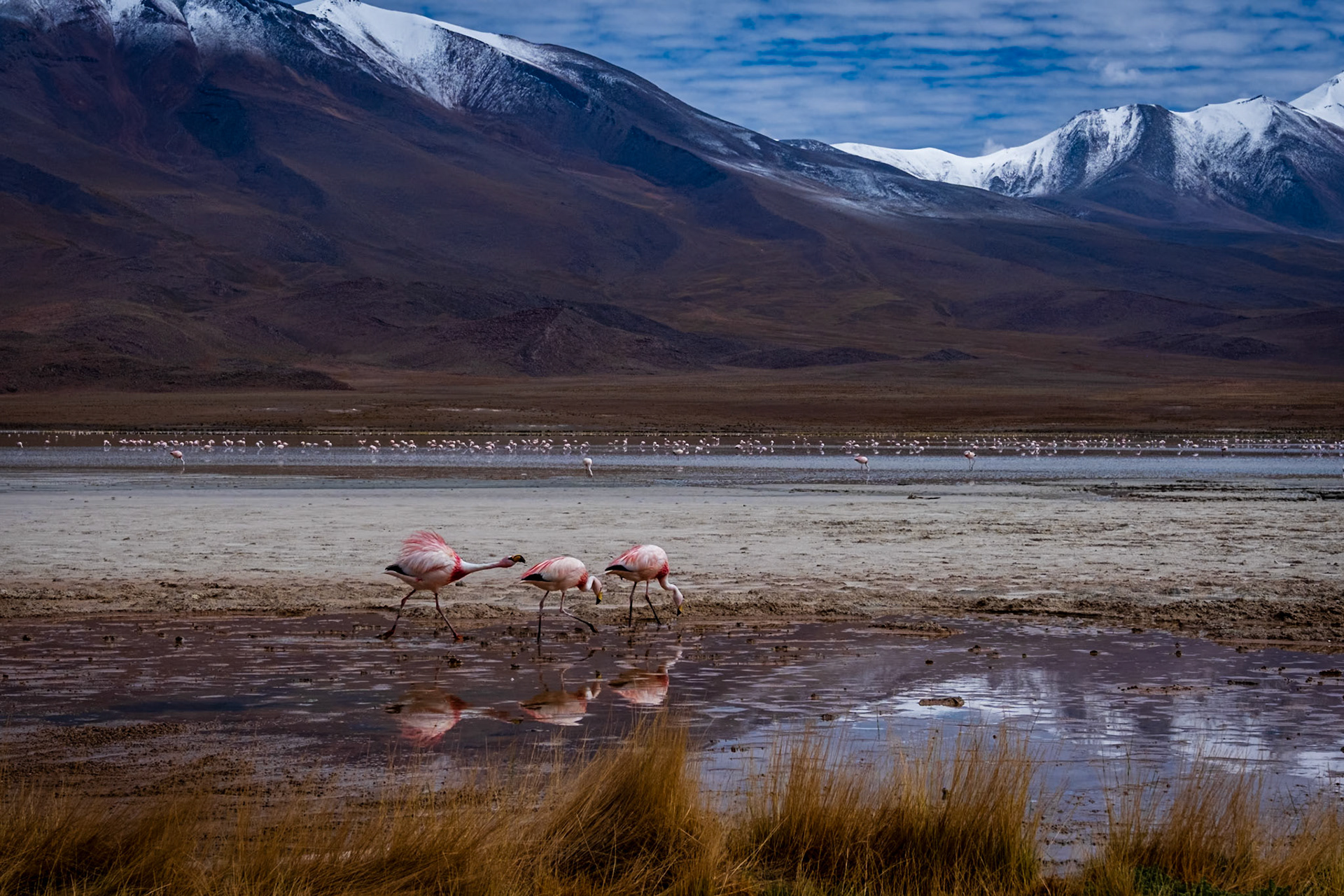 Bolivia
